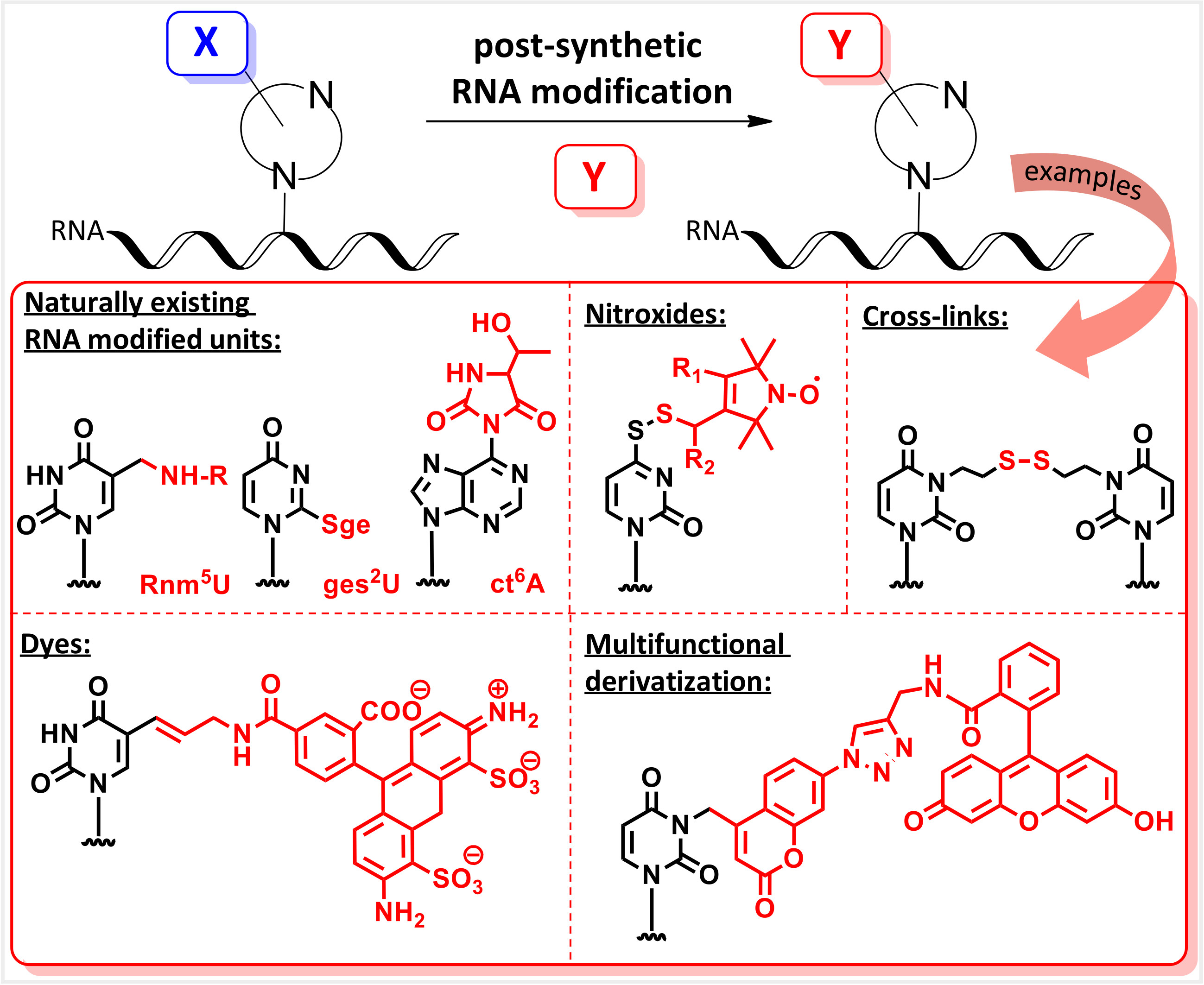 Molecules | Free Full-Text | Synthesis Of Nucleobase-Modified RNA ...