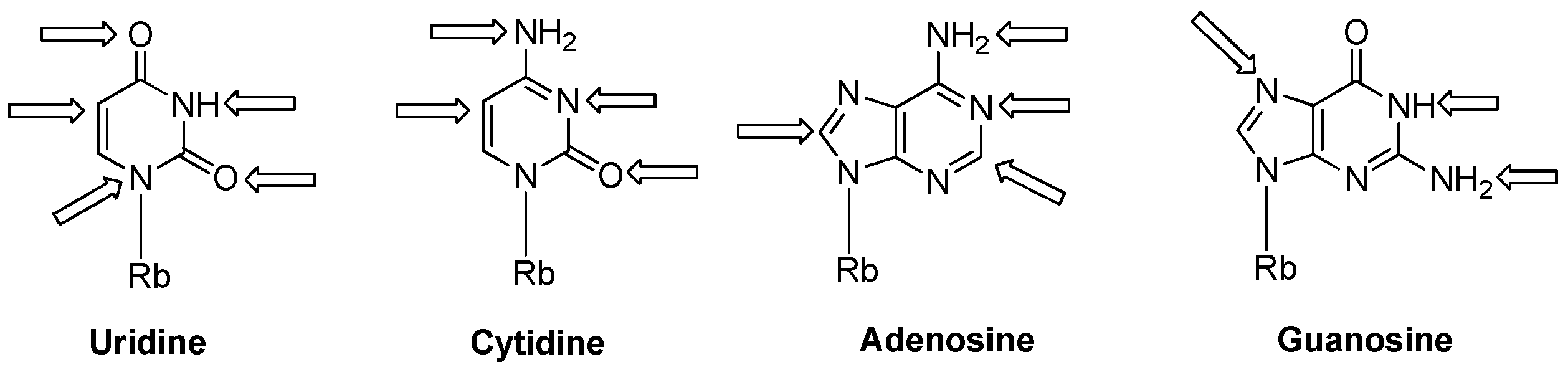 Molecules 25 03344 g001 Molecules 25 03344 g001