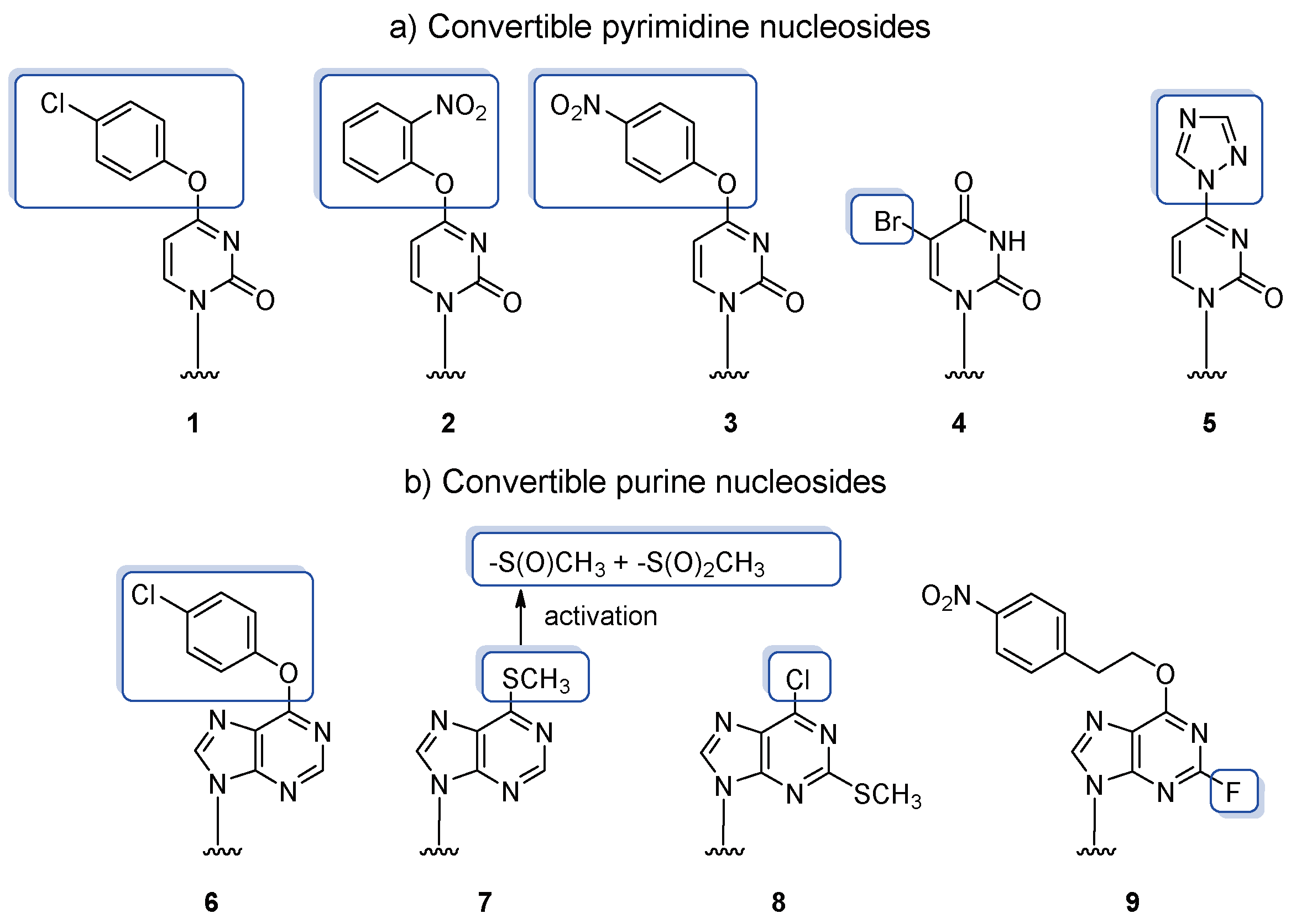Molecules 25 03344 g004 Molecules 25 03344 g004
