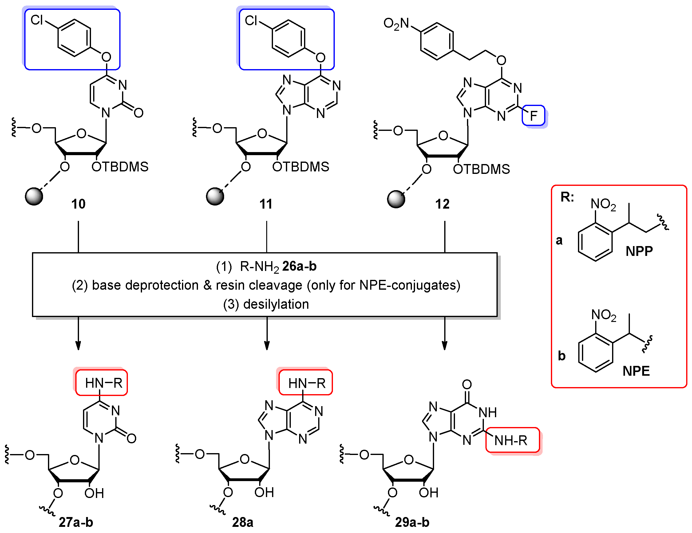 Molecules 25 03344 sch006 Molecules 25 03344 sch006