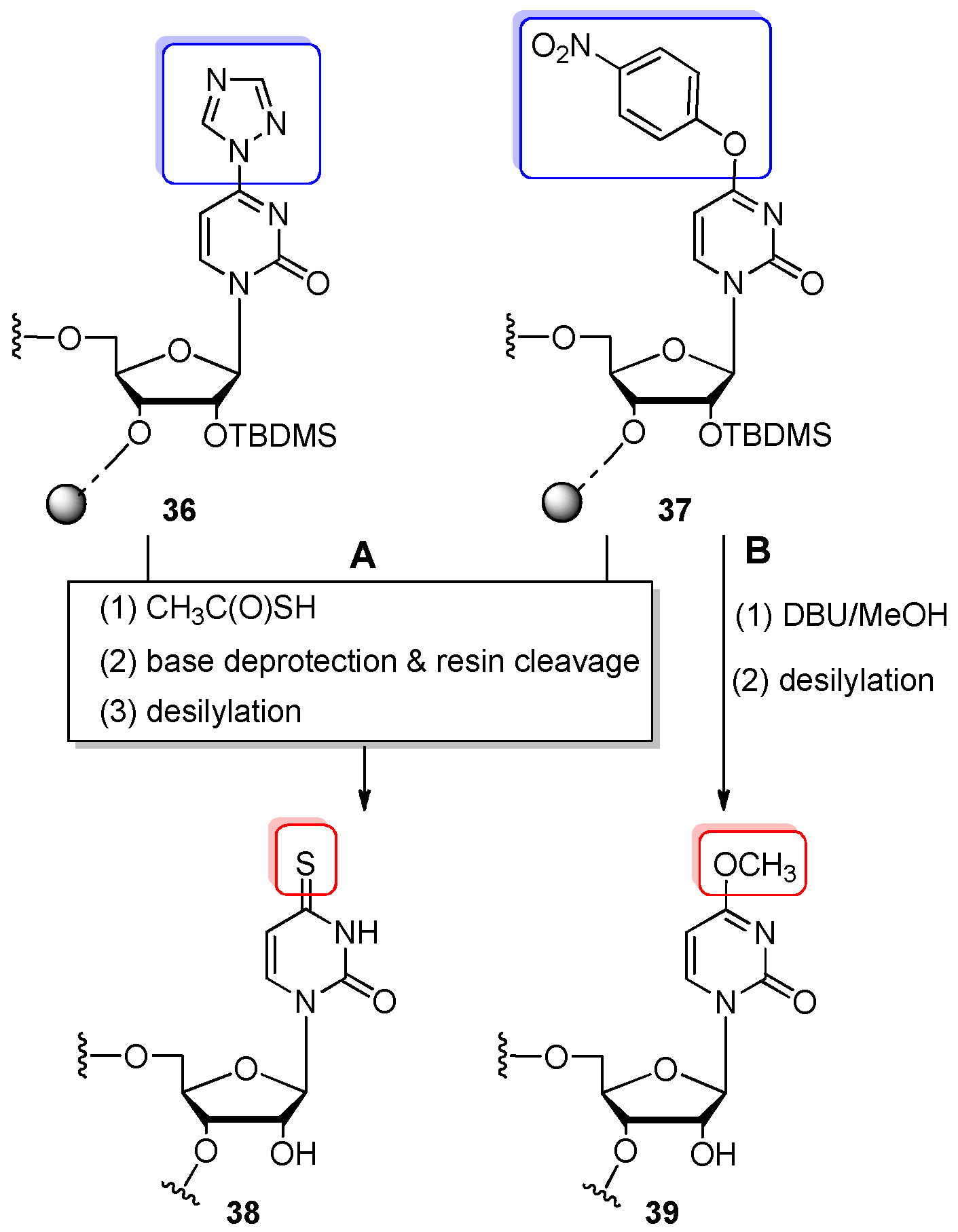 Molecules 25 03344 sch009 Molecules 25 03344 sch009