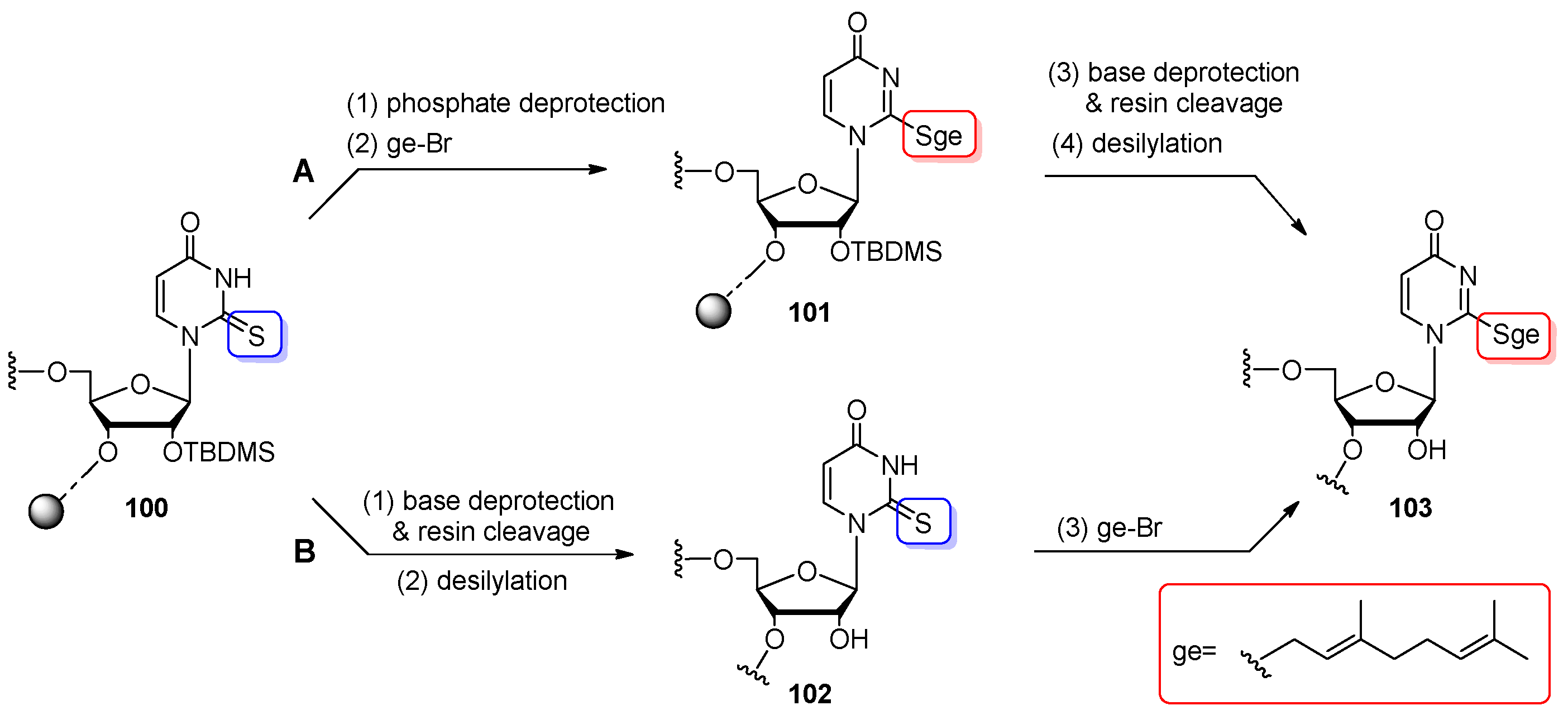 Molecules 25 03344 sch025 Molecules 25 03344 sch025