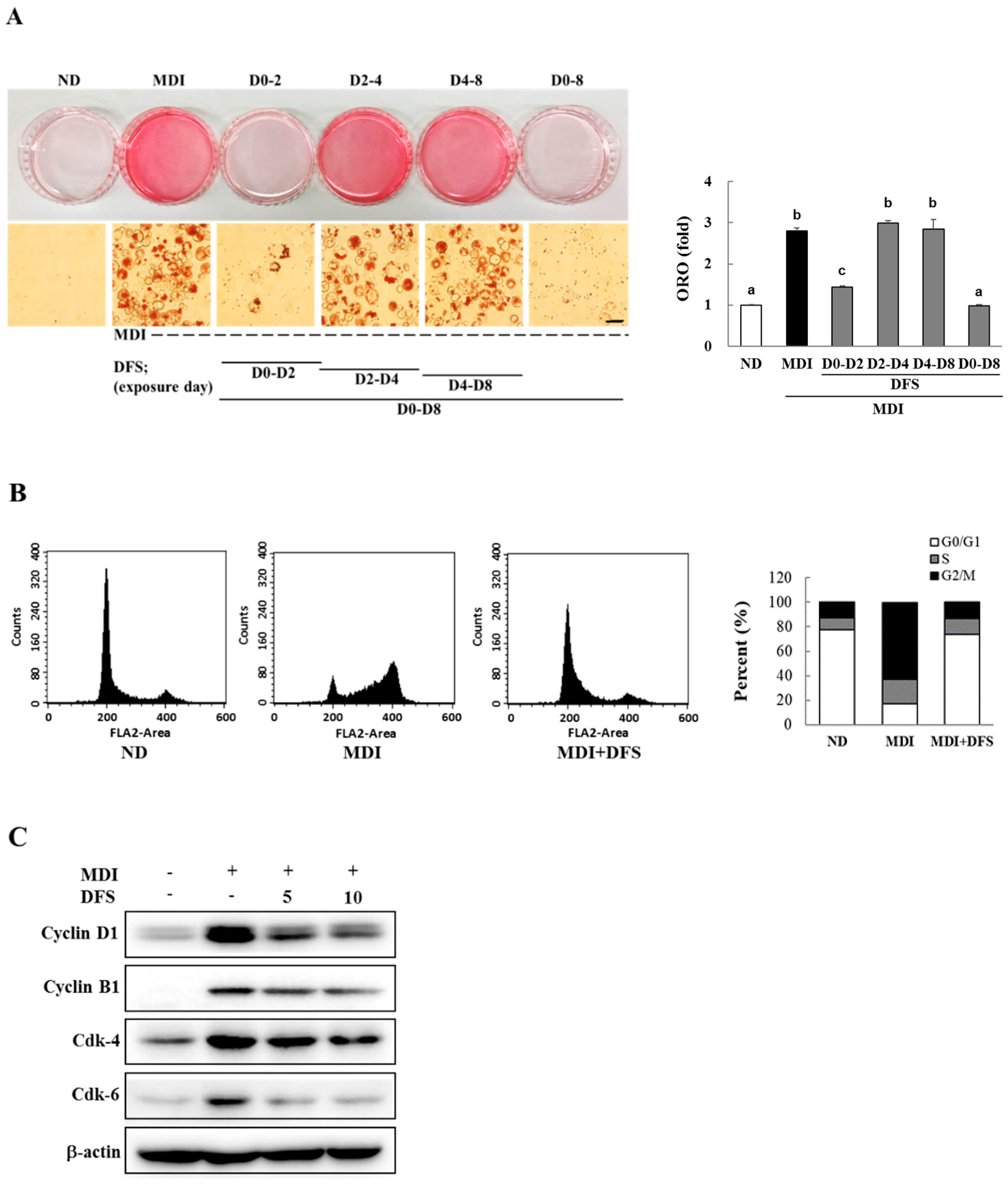 Molecules 25 03346 g002