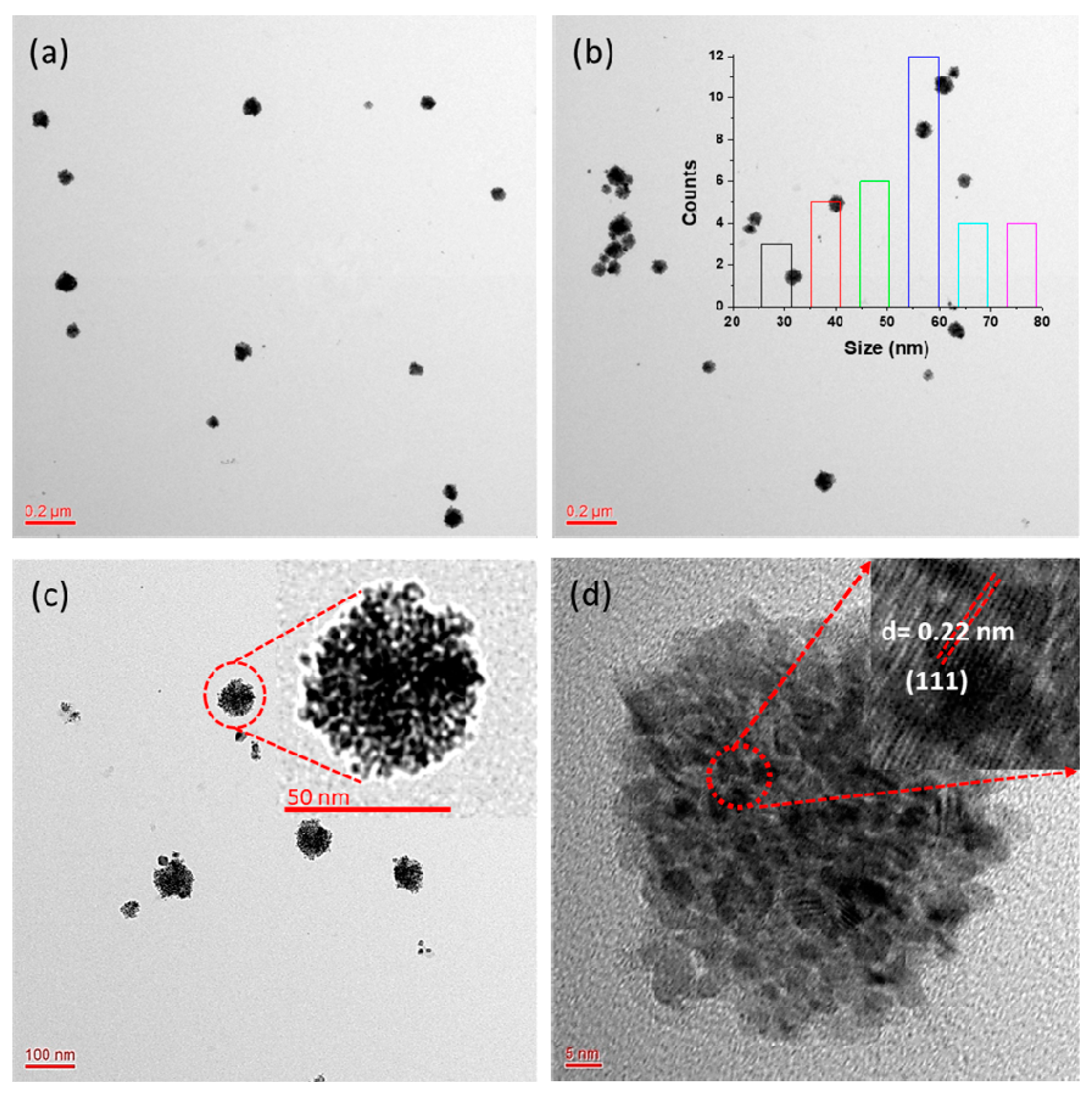 Molecules | Free Full-Text | Phytosynthesis of Palladium Nanoclusters: An  Efficient Nanozyme for Ultrasensitive and Selective Detection of Reactive  Oxygen Species