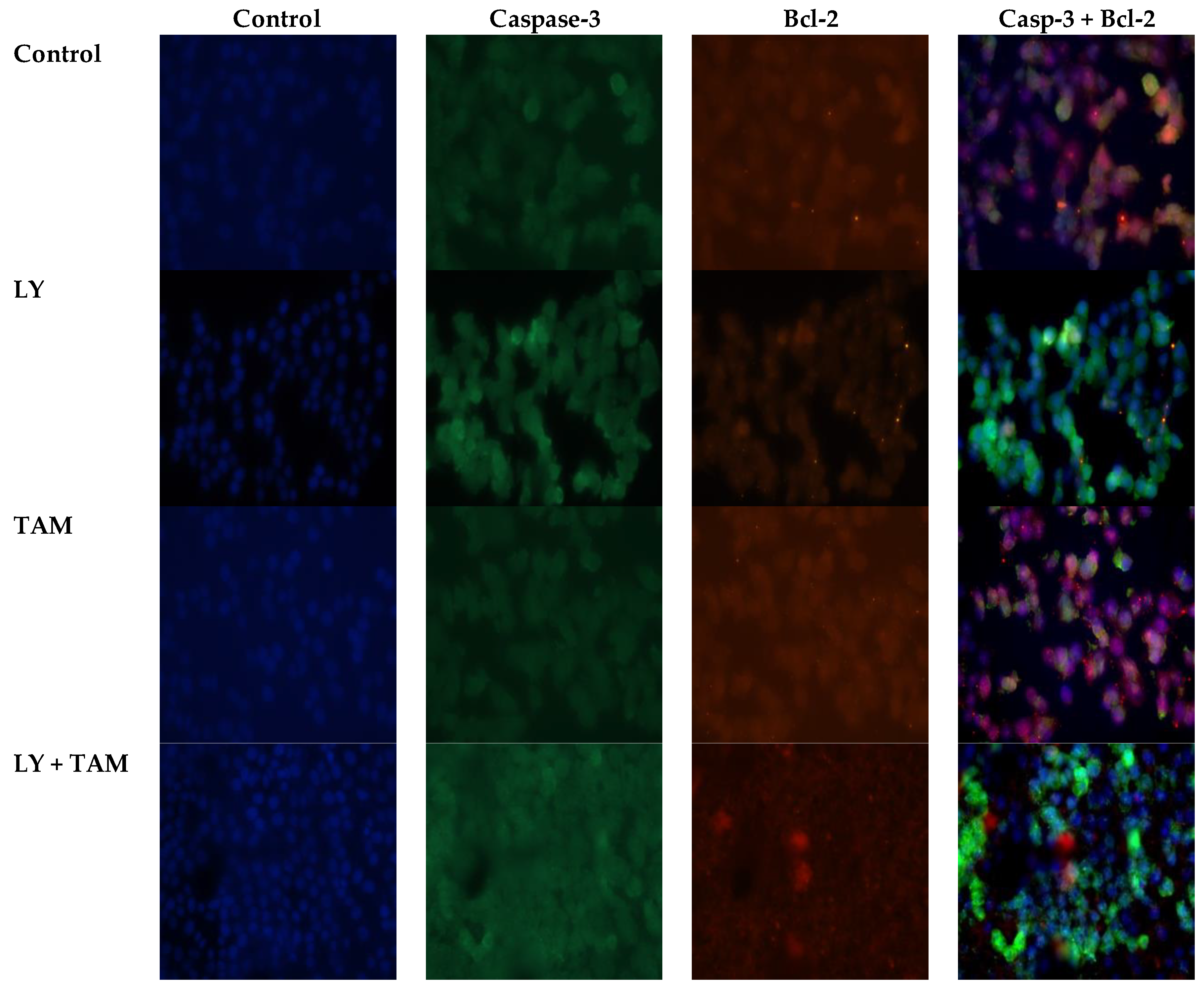 Molecules 25 03355 g004 Molecules 25 03355 g004