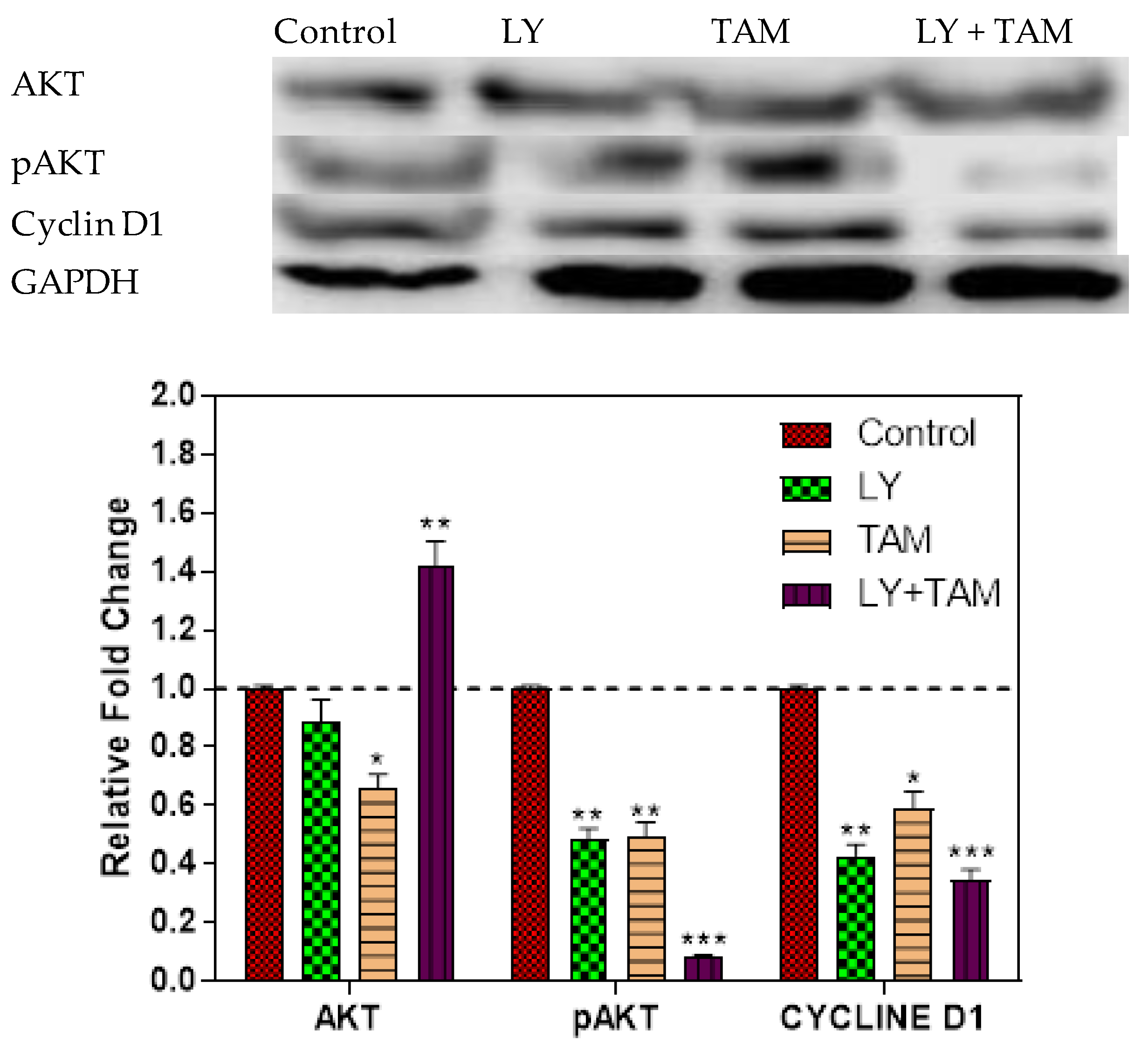 Molecules 25 03355 g007 Molecules 25 03355 g007