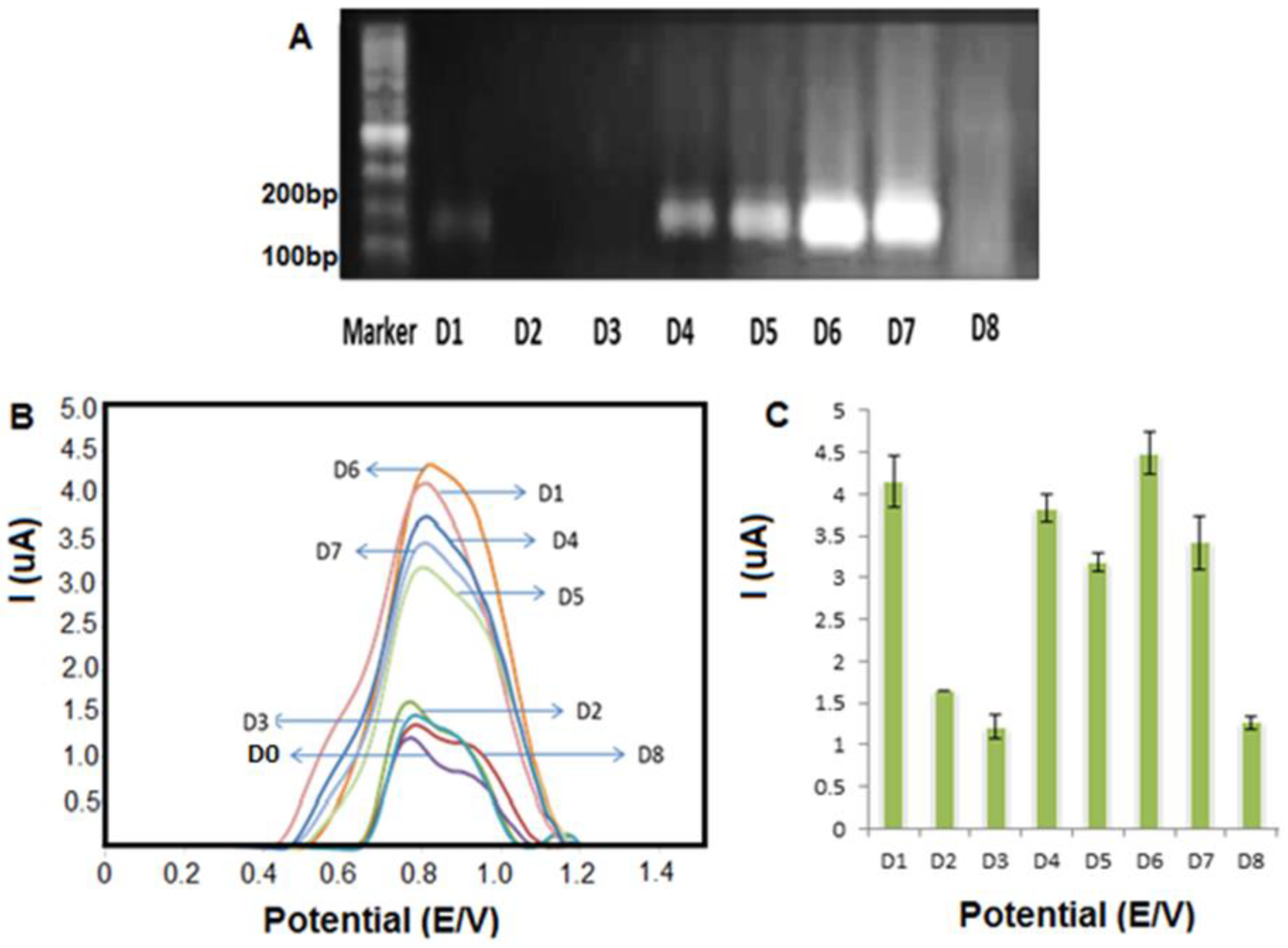 Molecules 25 03373 g005