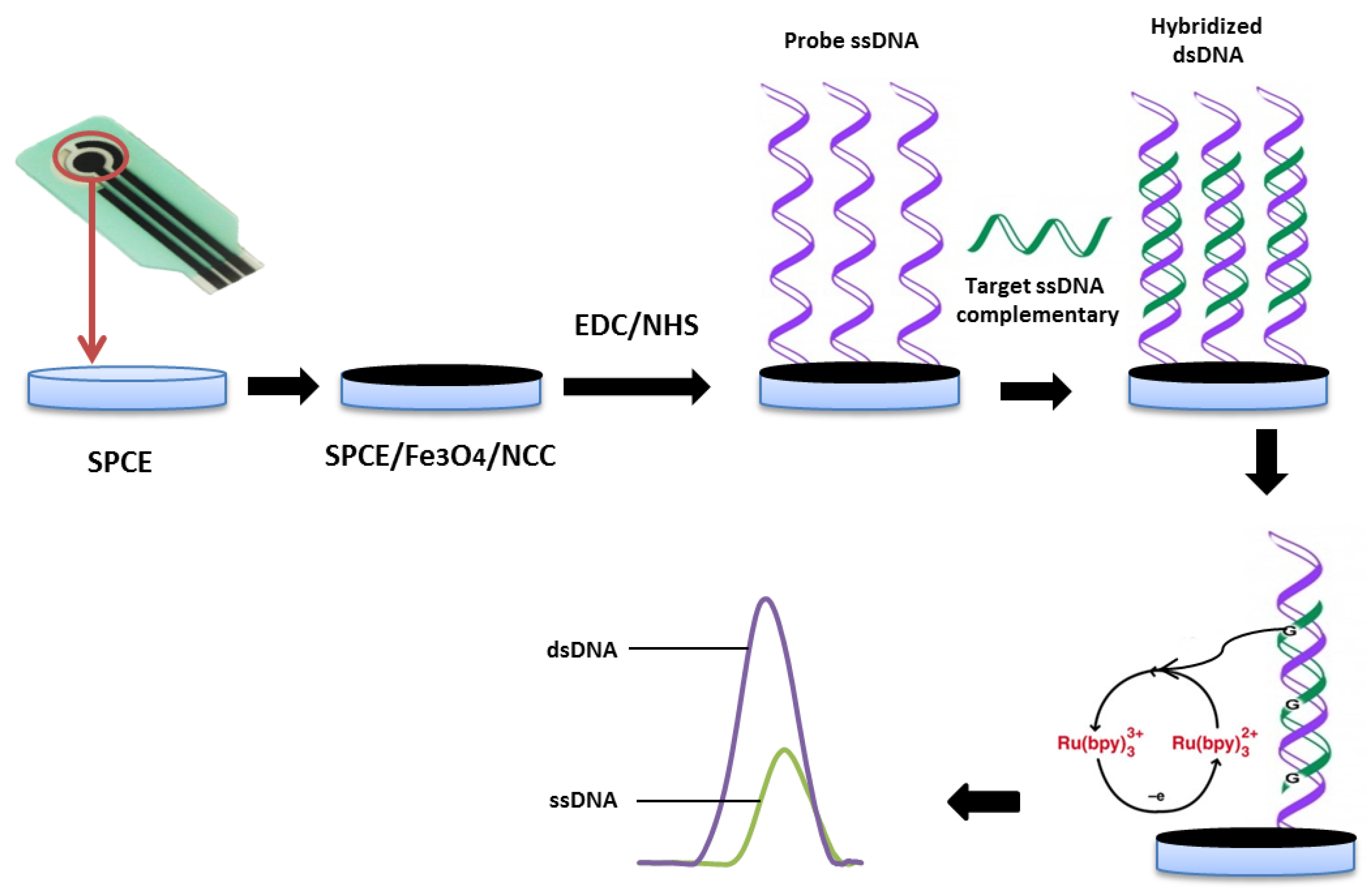 Molecules 25 03373 sch001
