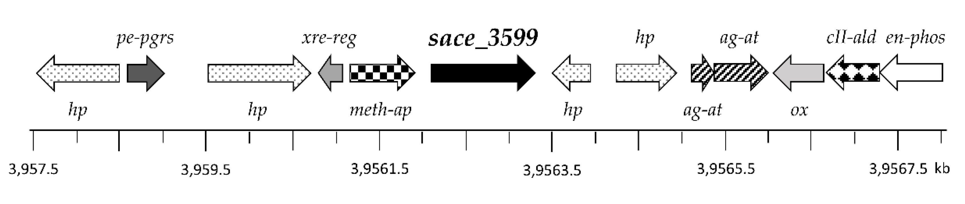 Molecules 25 03400 g007