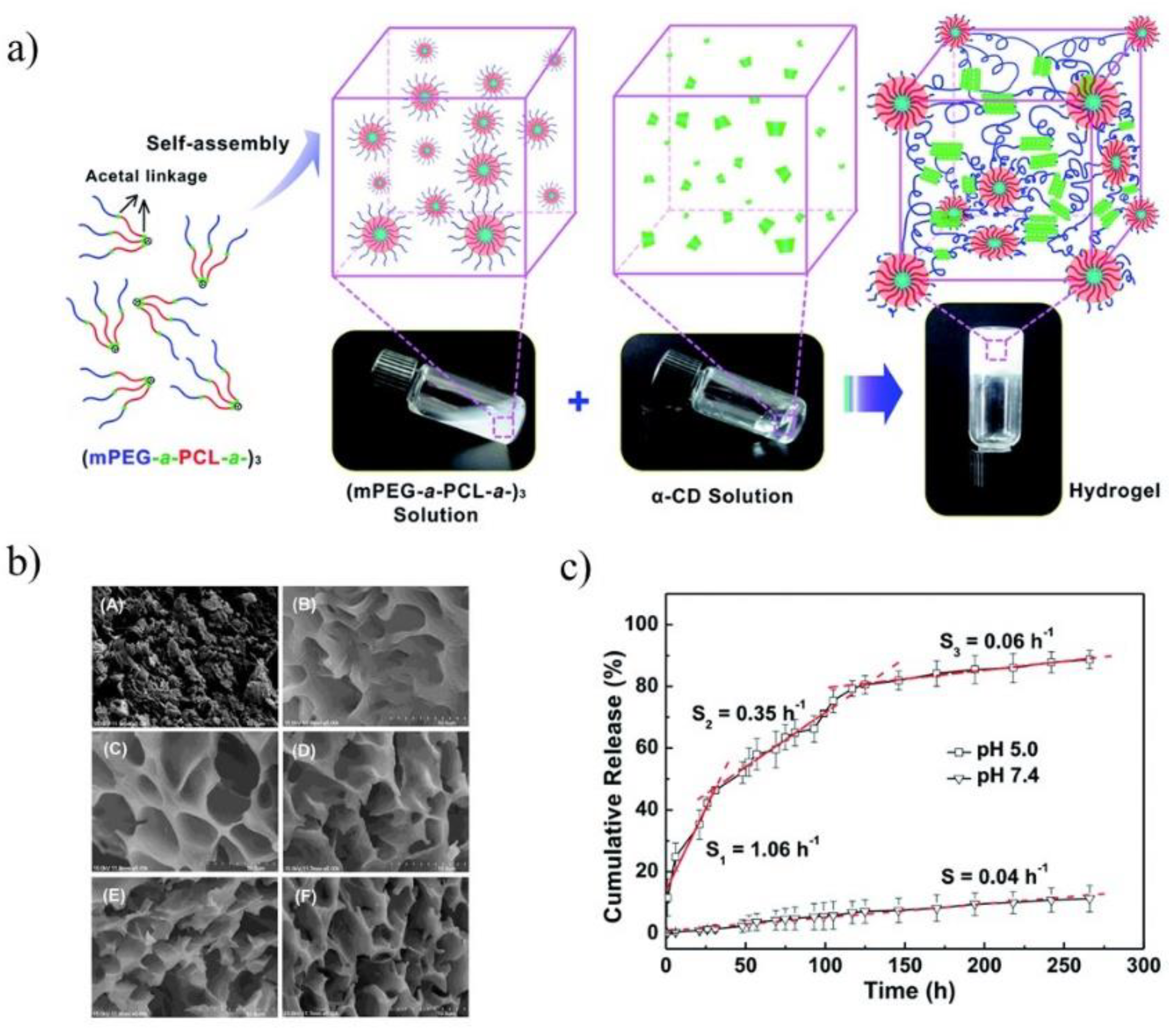 Molecules Free Full Text Biocompatible Polymers Combined With Cyclodextrins Fascinating Materials For Drug Delivery Applications Html