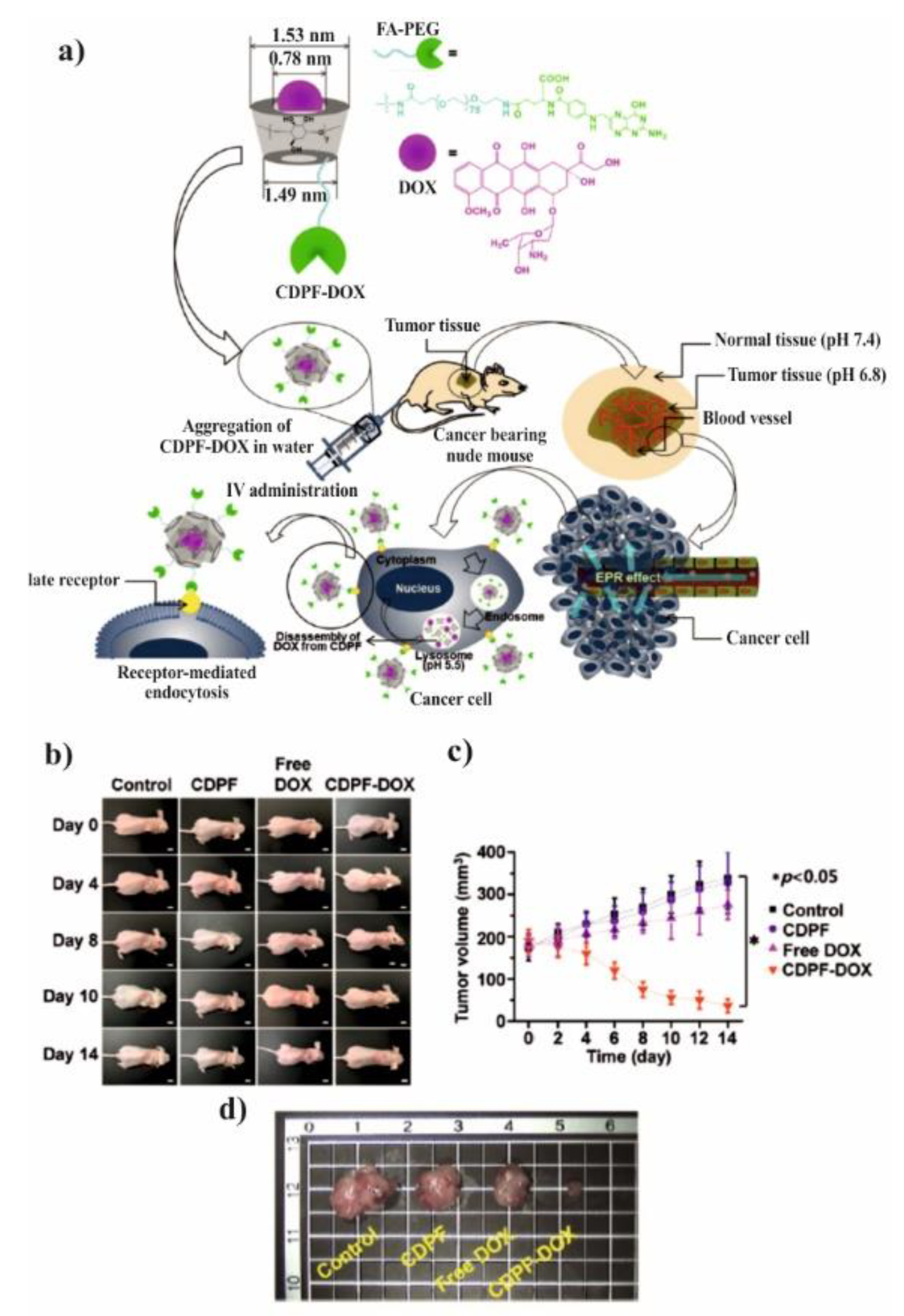 Molecules Free Full Text Biocompatible Polymers Combined With Cyclodextrins Fascinating Materials For Drug Delivery Applications Html