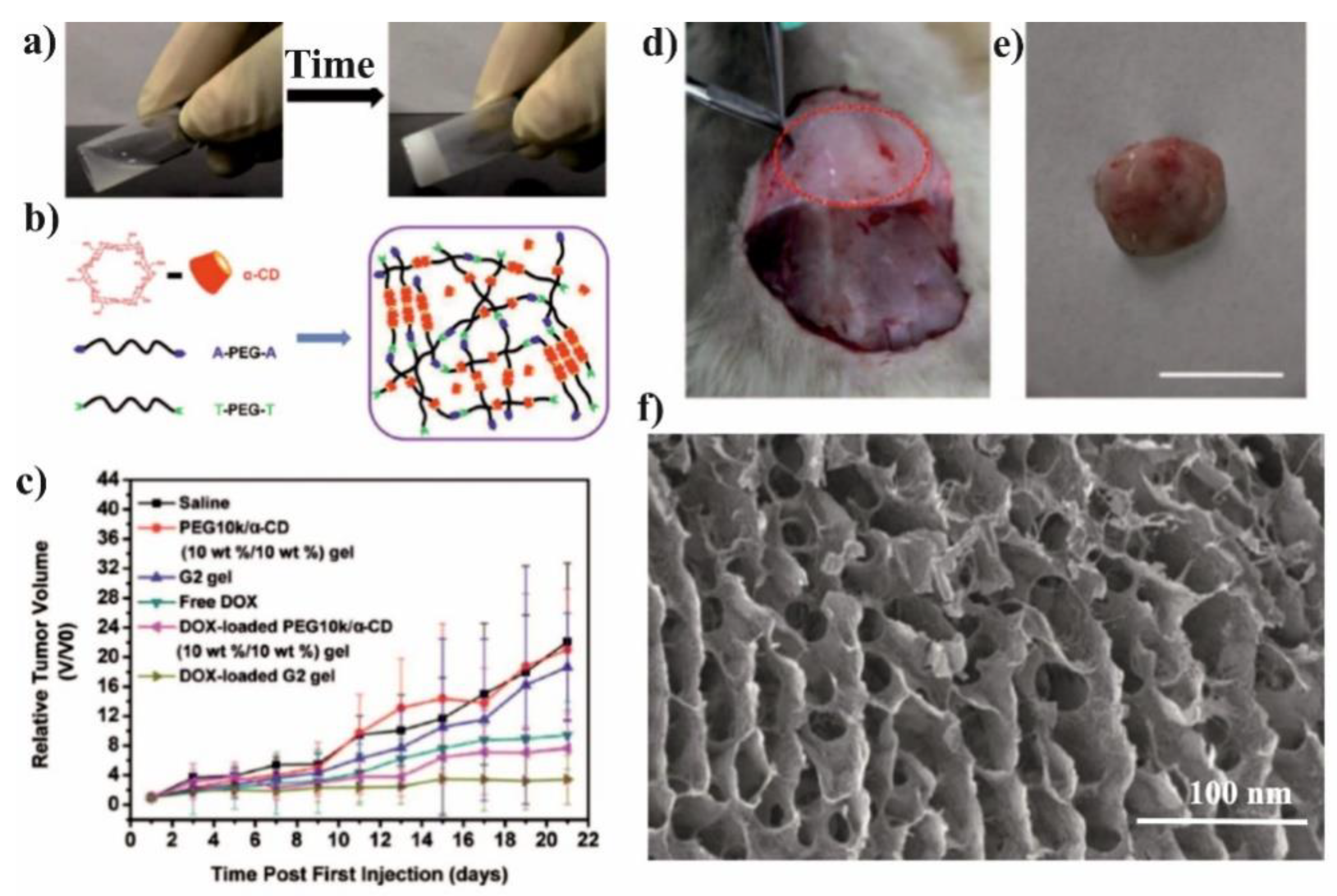 Molecules Free Full Text Biocompatible Polymers Combined With Cyclodextrins Fascinating Materials For Drug Delivery Applications Html