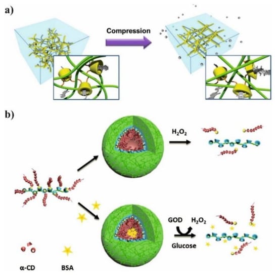 Molecules Free Full Text Biocompatible Polymers Combined With Cyclodextrins Fascinating Materials For Drug Delivery Applications Html