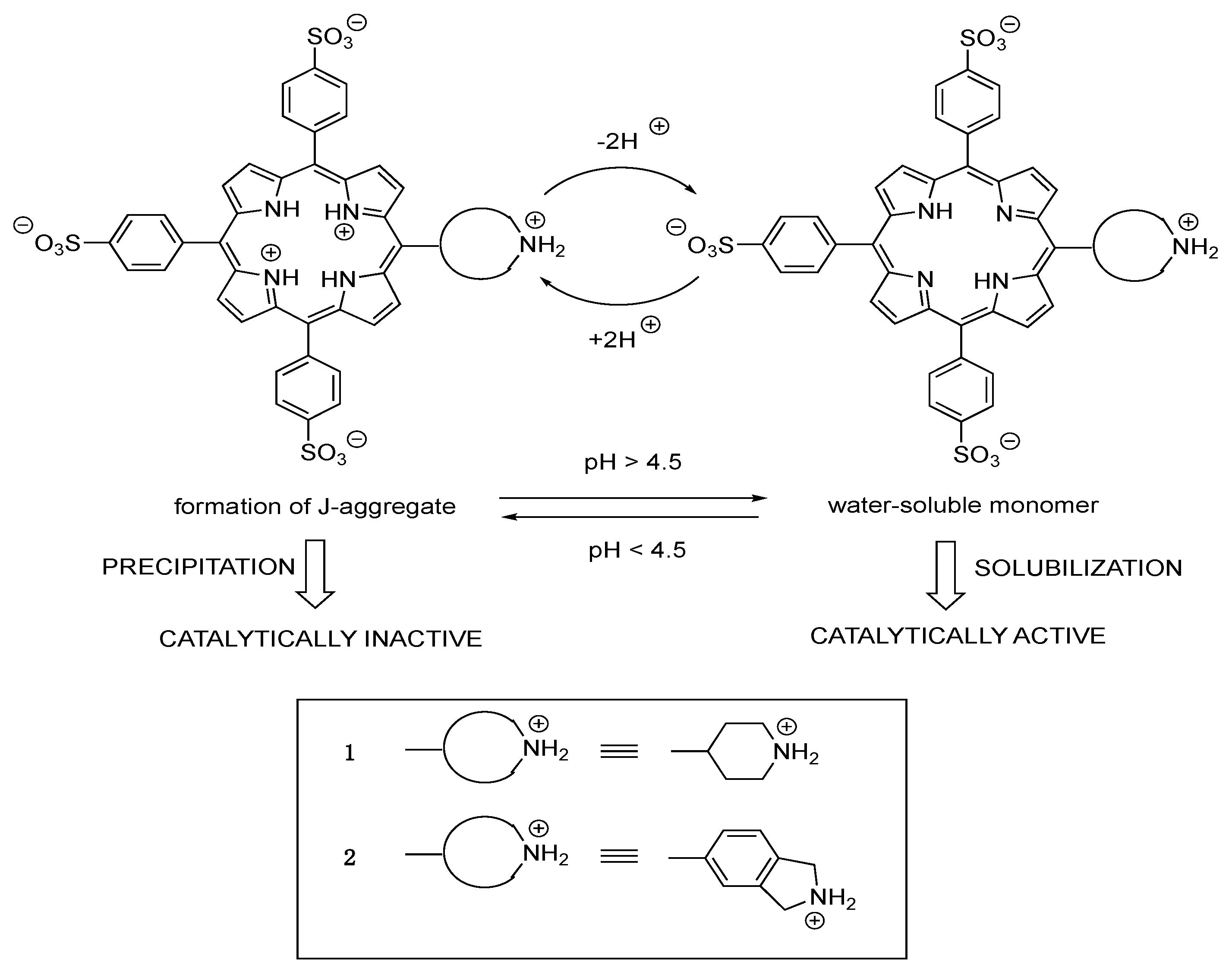 Molecules 25 03420 sch001 Molecules 25 03420 sch001