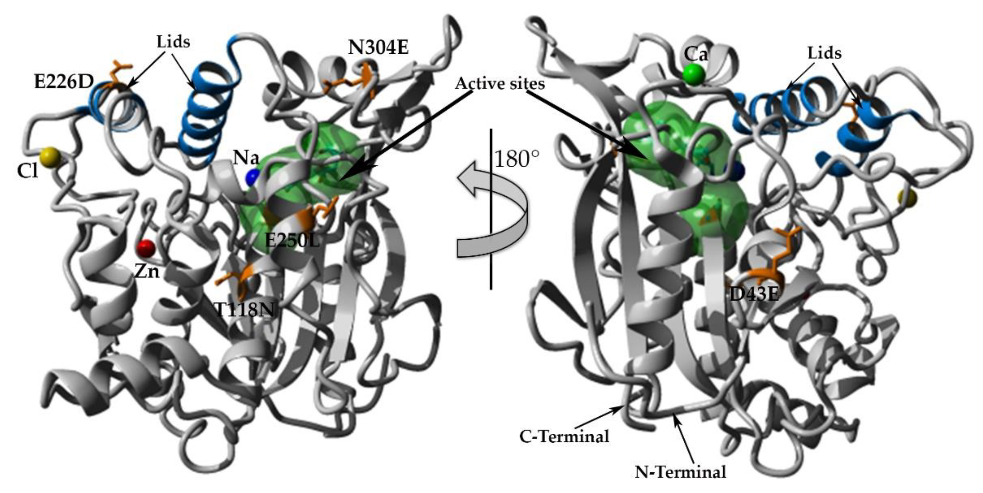 Molecules 25 03430 g006