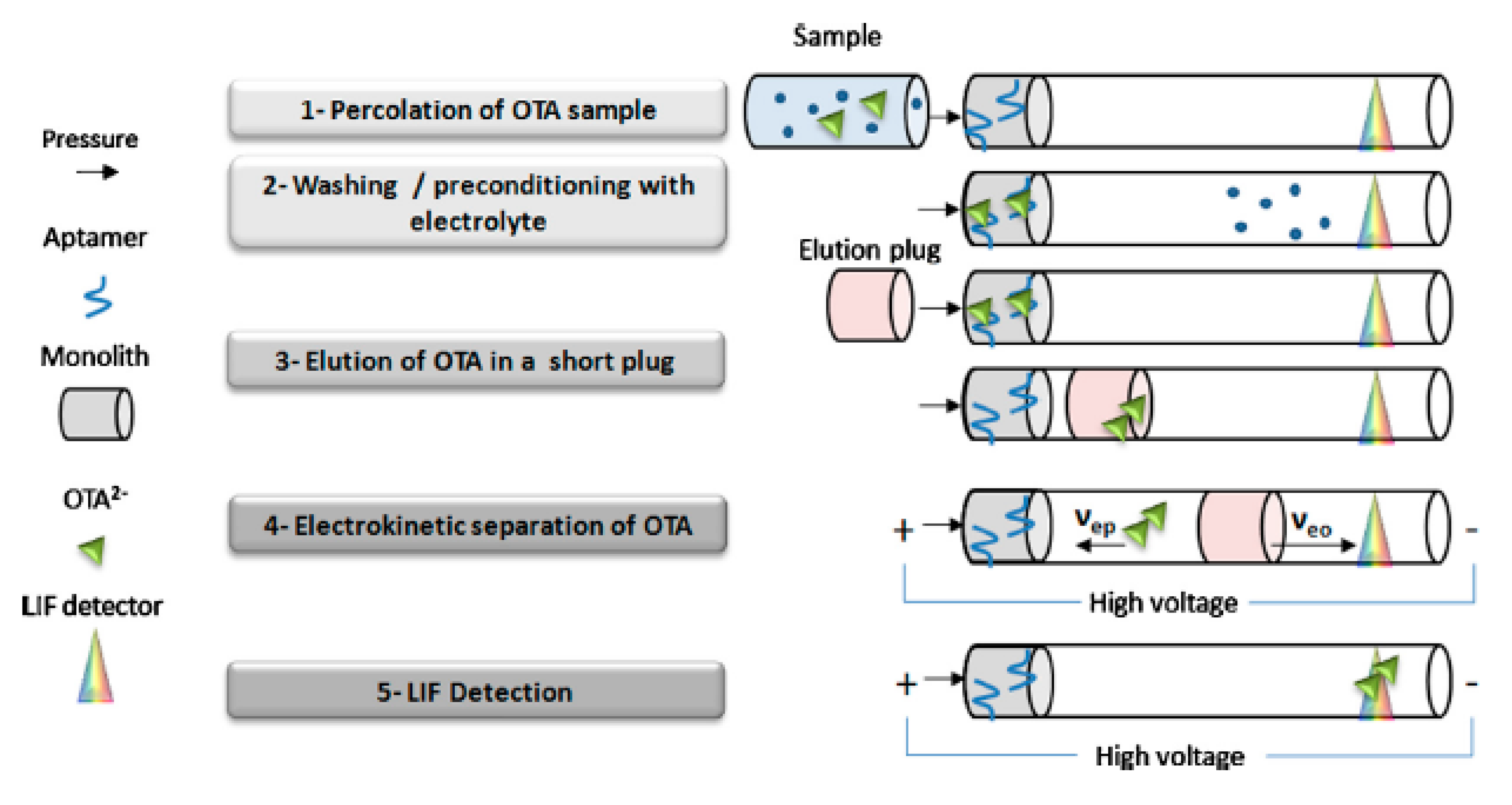 Molecules 25 03441 g003 Molecules 25 03441 g003