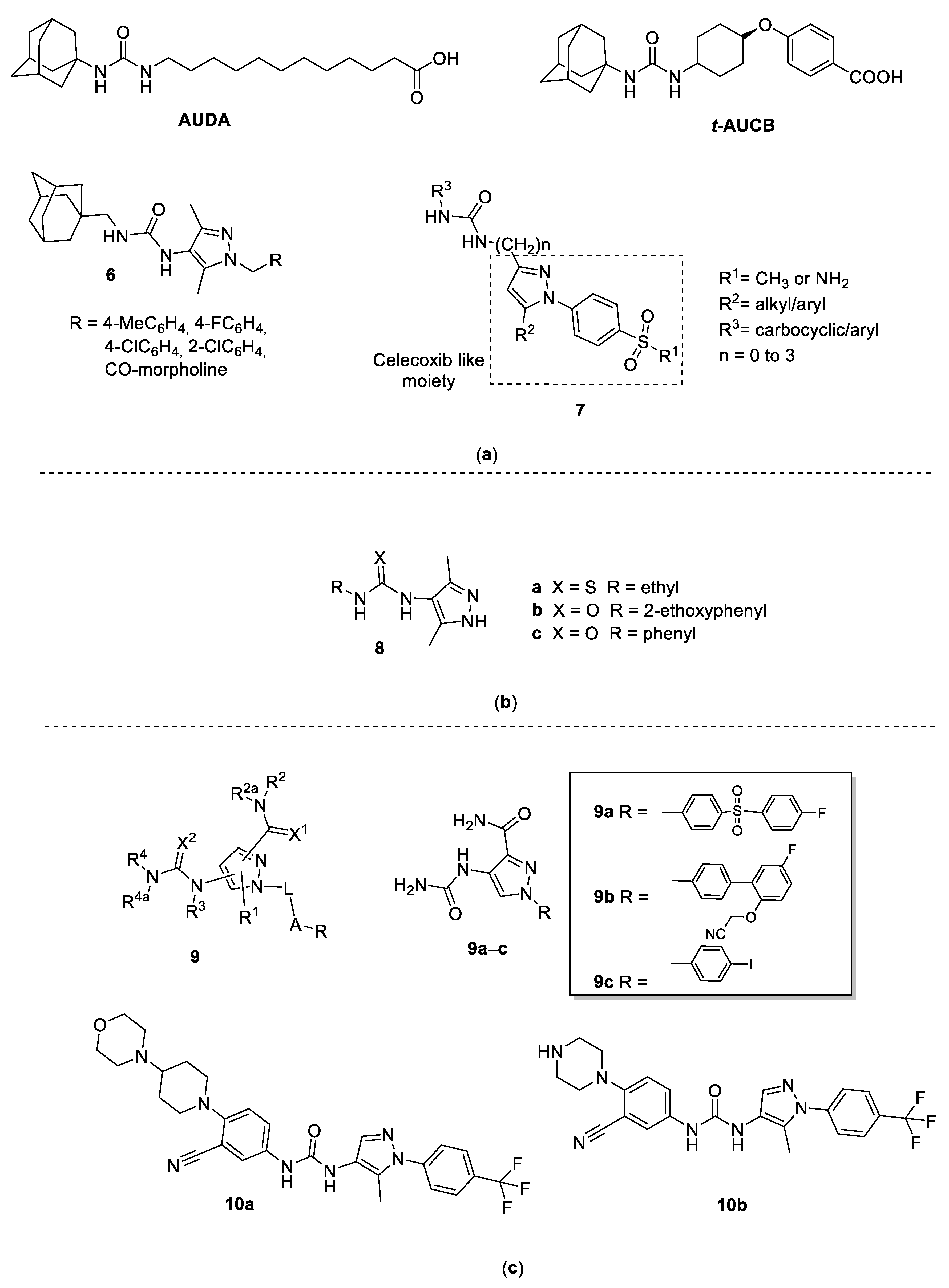 Molecules 25 03457 g002