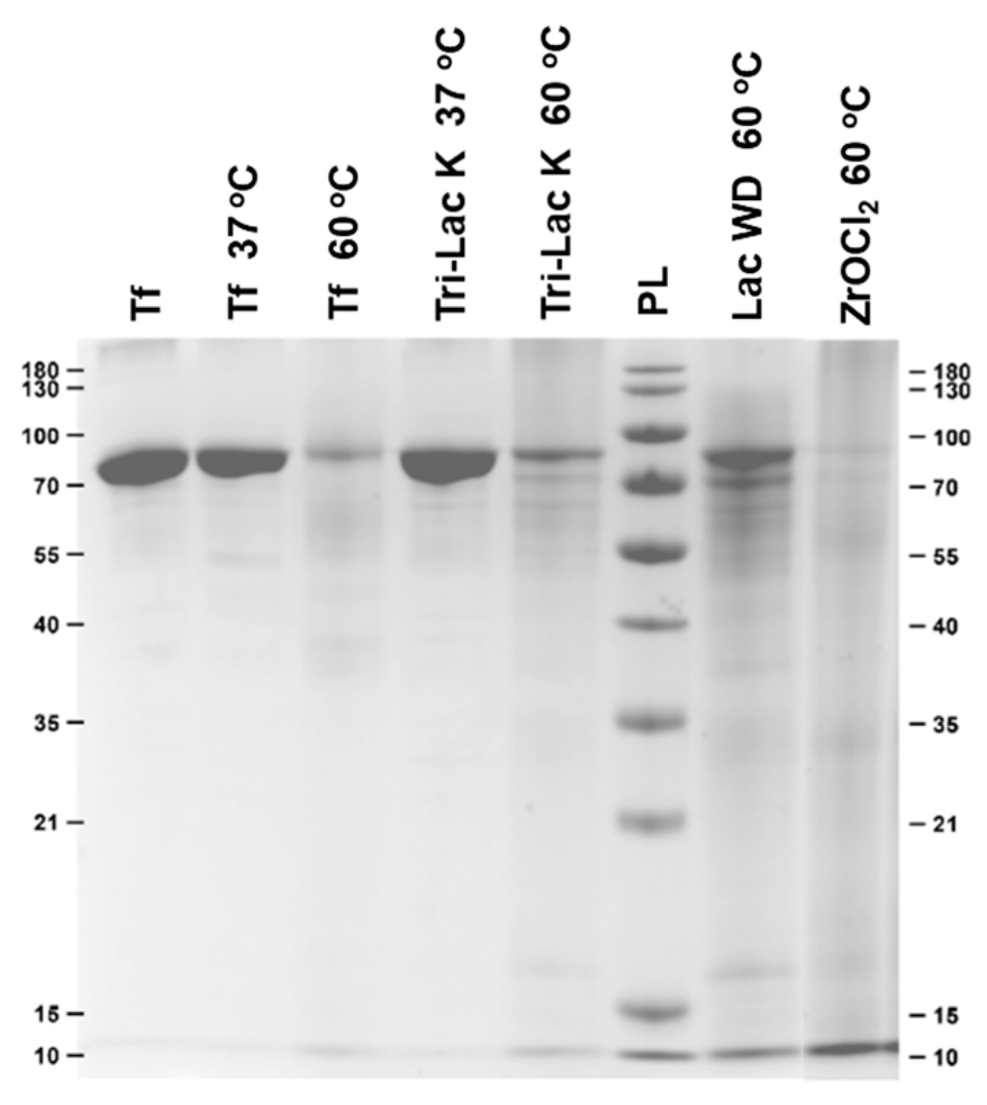 Molecules 25 03472 g003