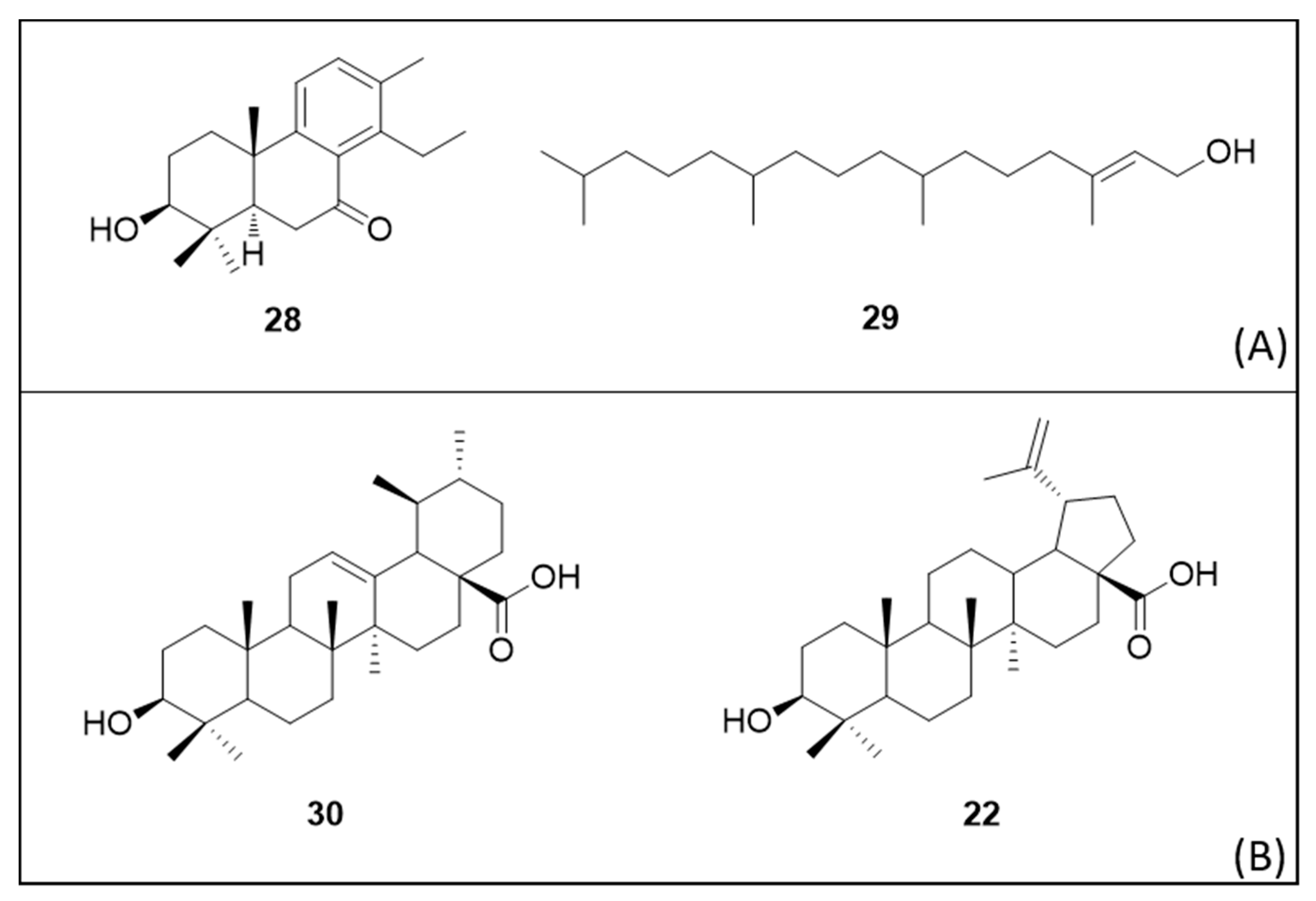 Molecules 25 03484 g005 Molecules 25 03484 g005