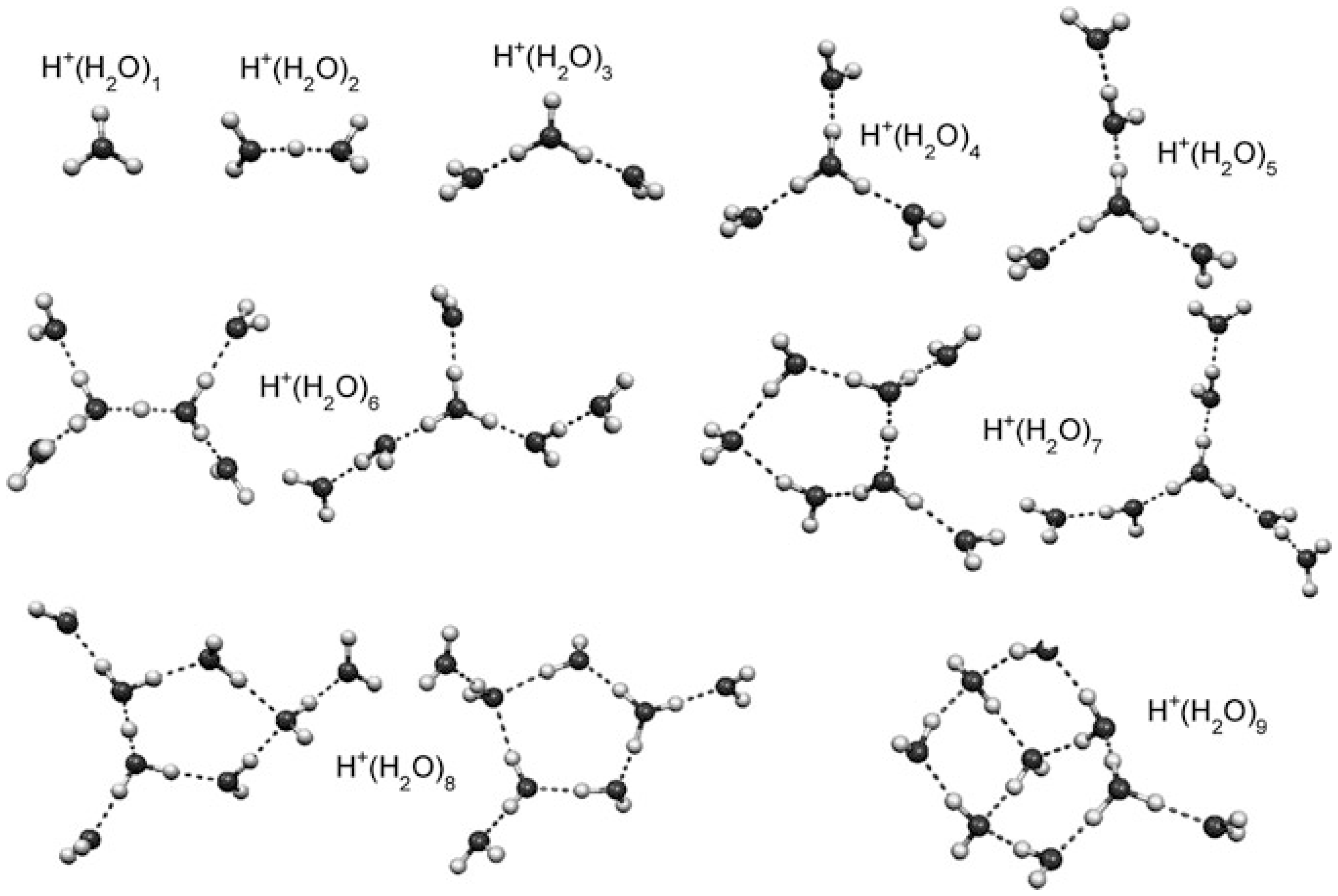 Molecules 25 03490 g021