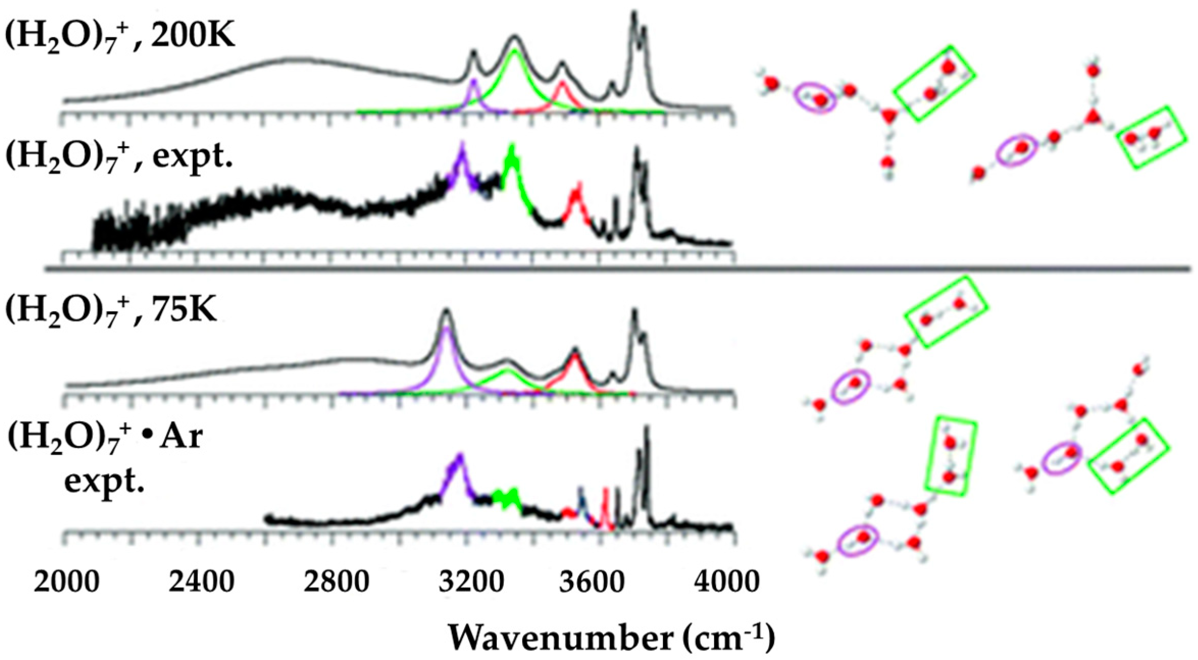 Molecules 25 03490 g025