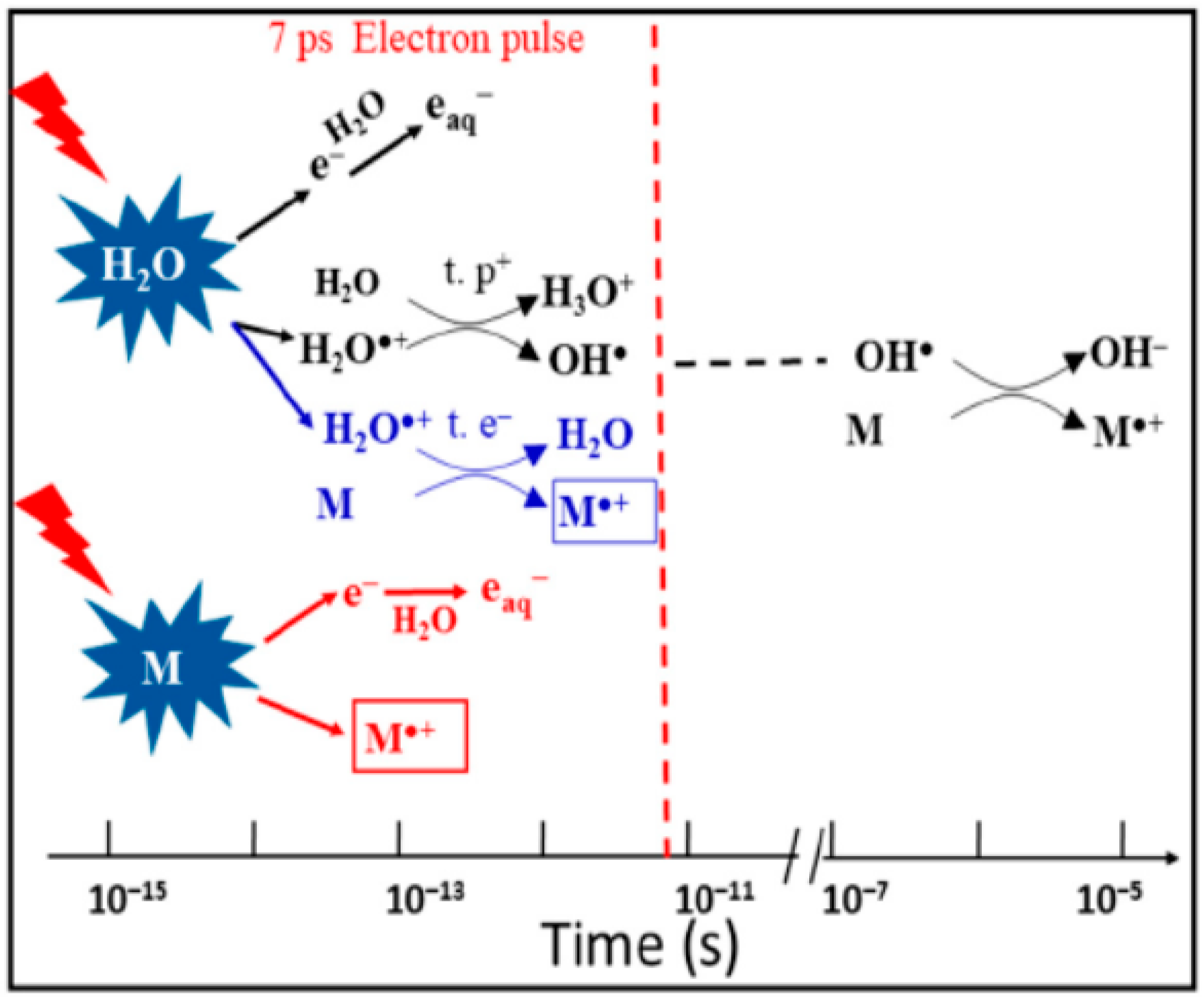 Molecules 25 03490 g033