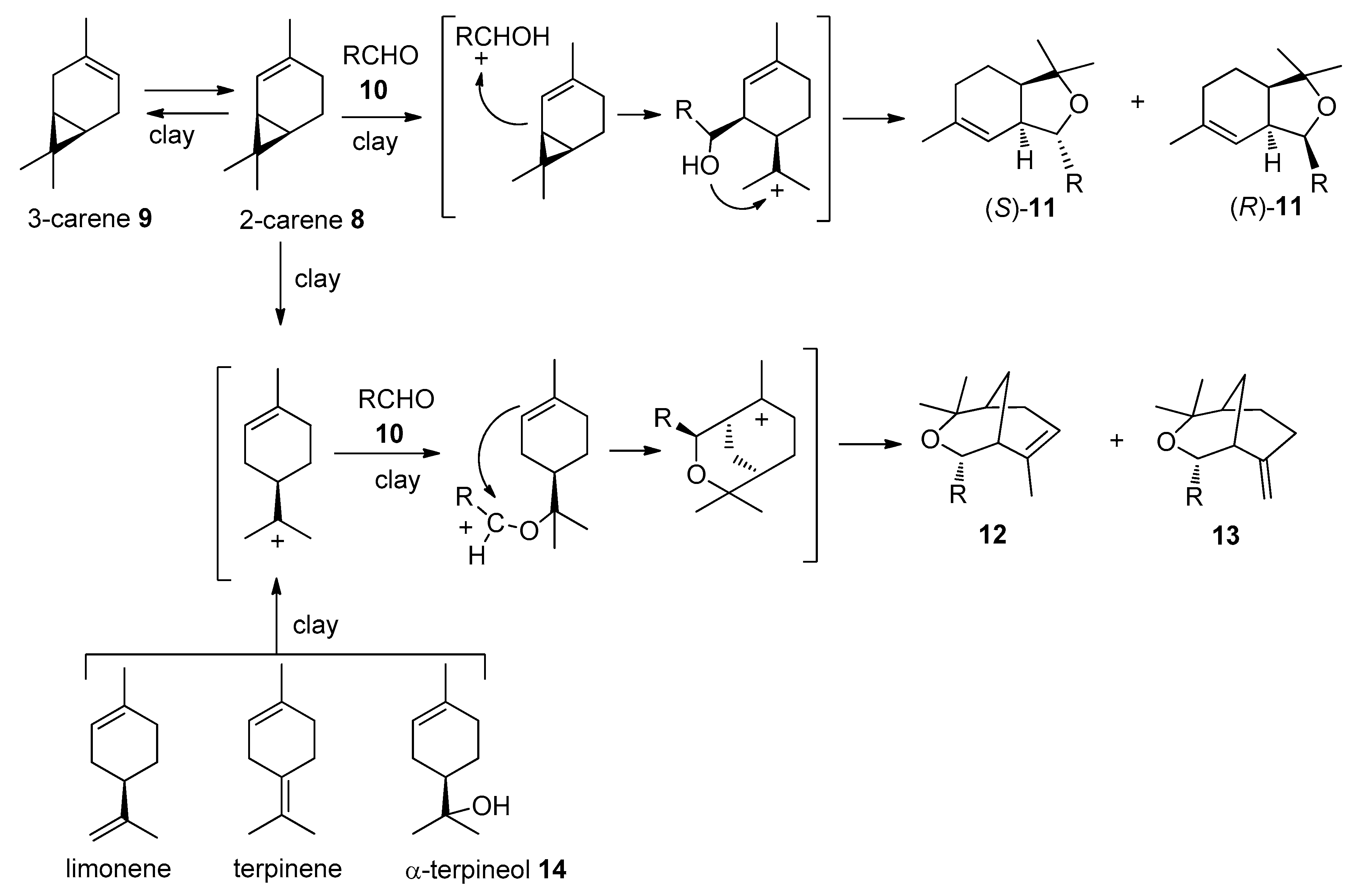 Molecules 25 03496 sch003 Molecules 25 03496 sch003
