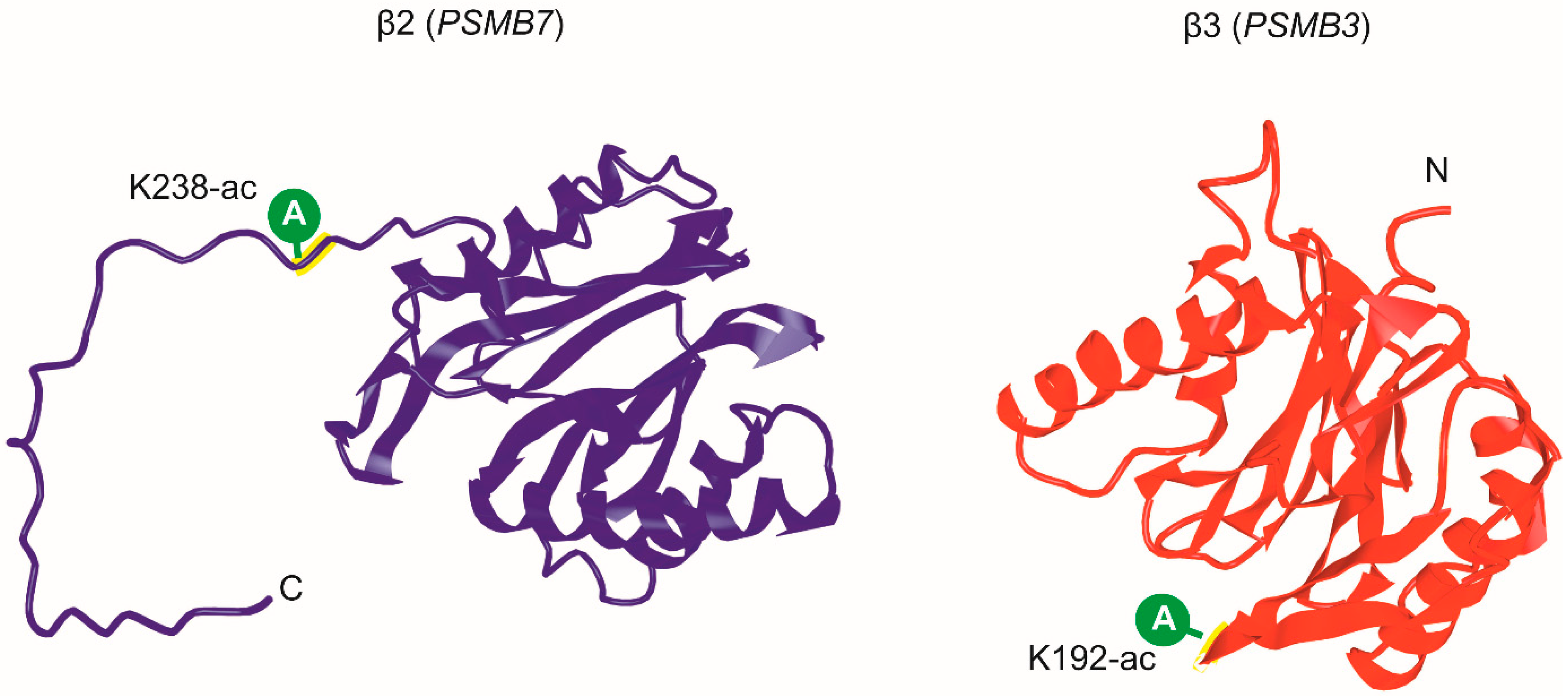 Molecules 25 03504 g002 Molecules 25 03504 g002