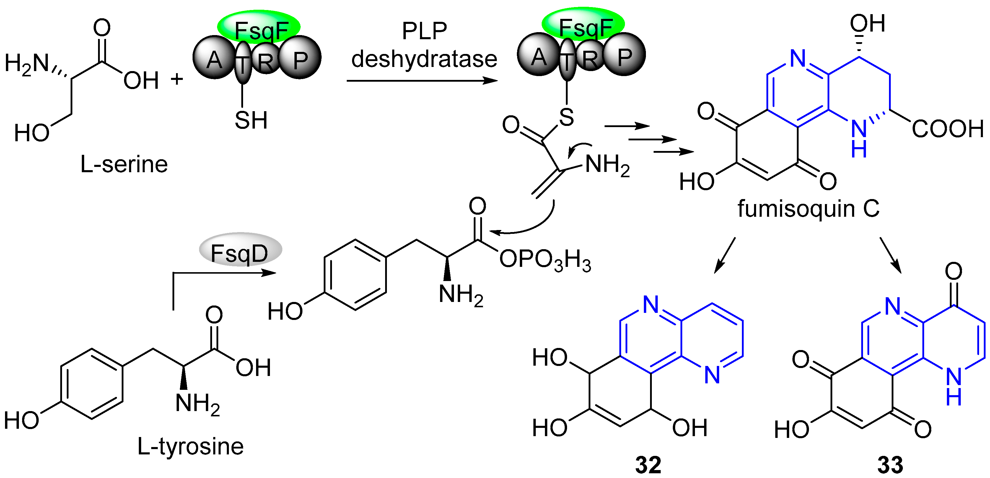 Molecules 25 03508 sch010 Molecules 25 03508 sch010