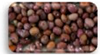 Molecules 25 03528 i012 Molecules 25 03528 i012