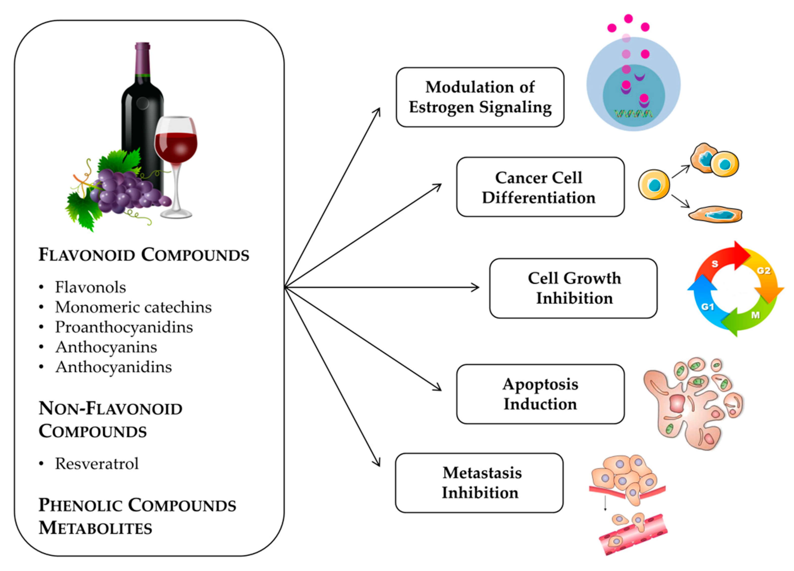Molecules 25 03531 g001