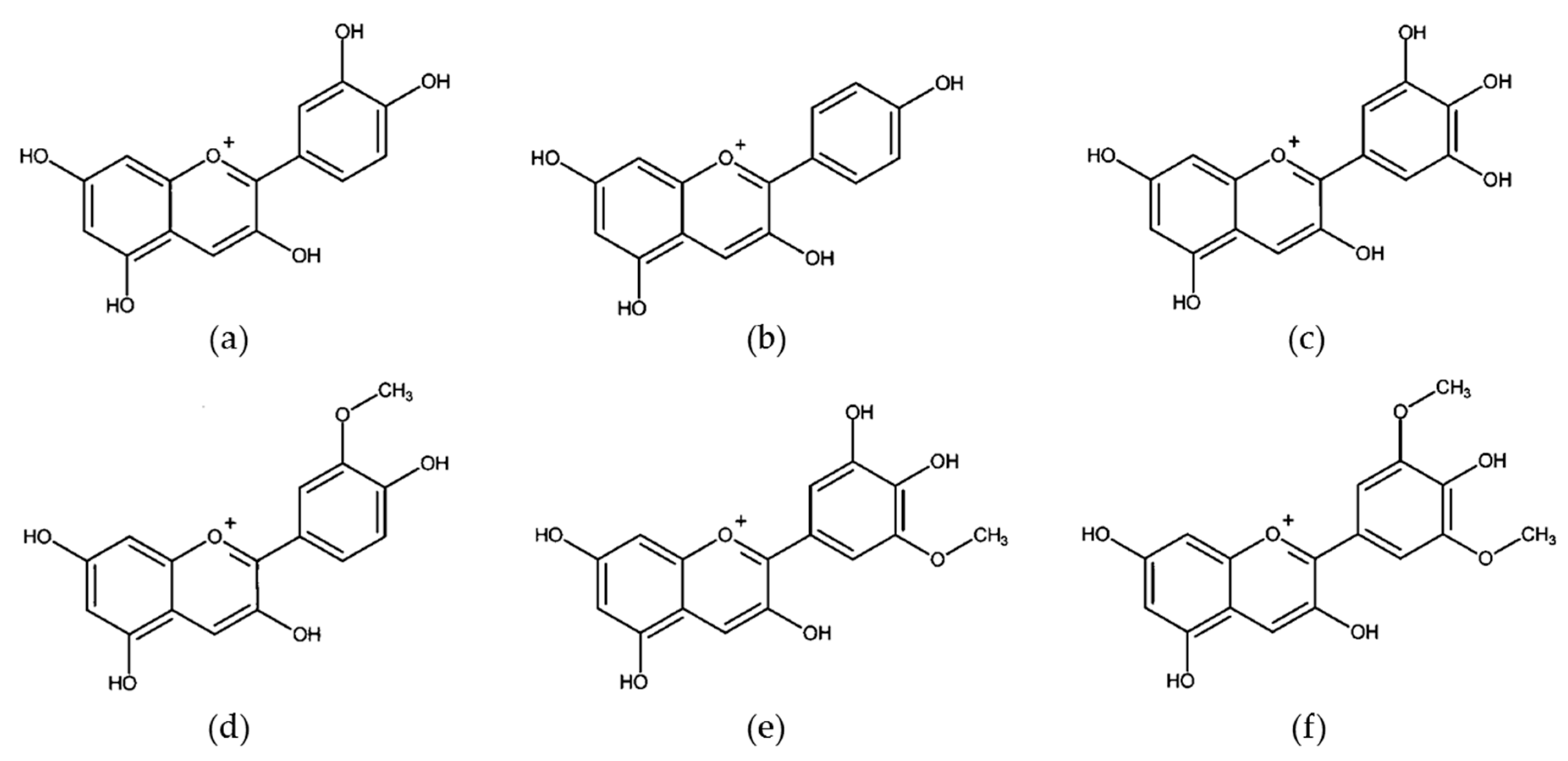 Molecules 25 03531 g004