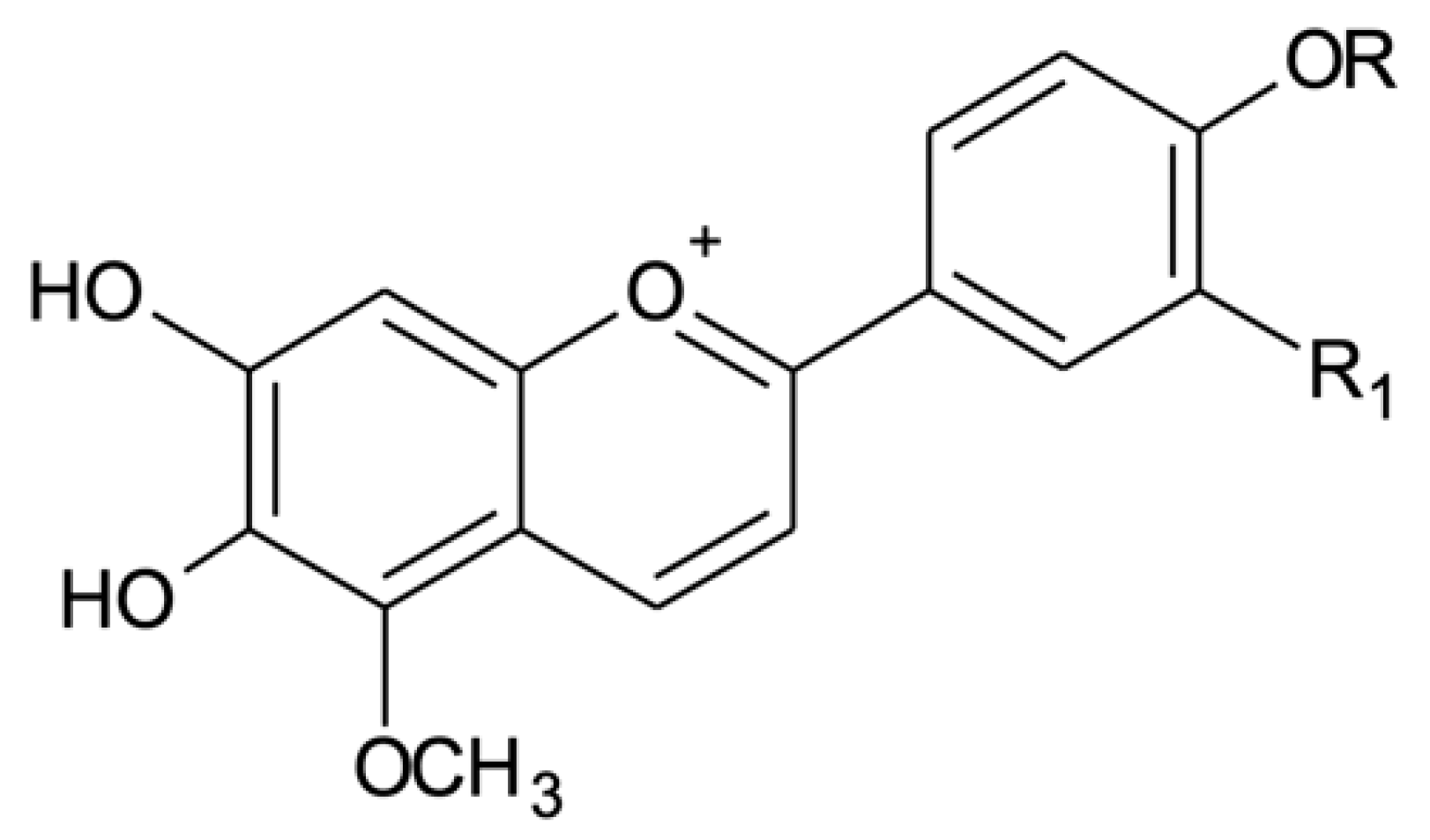 Molecules 25 03547 g001 Molecules 25 03547 g001