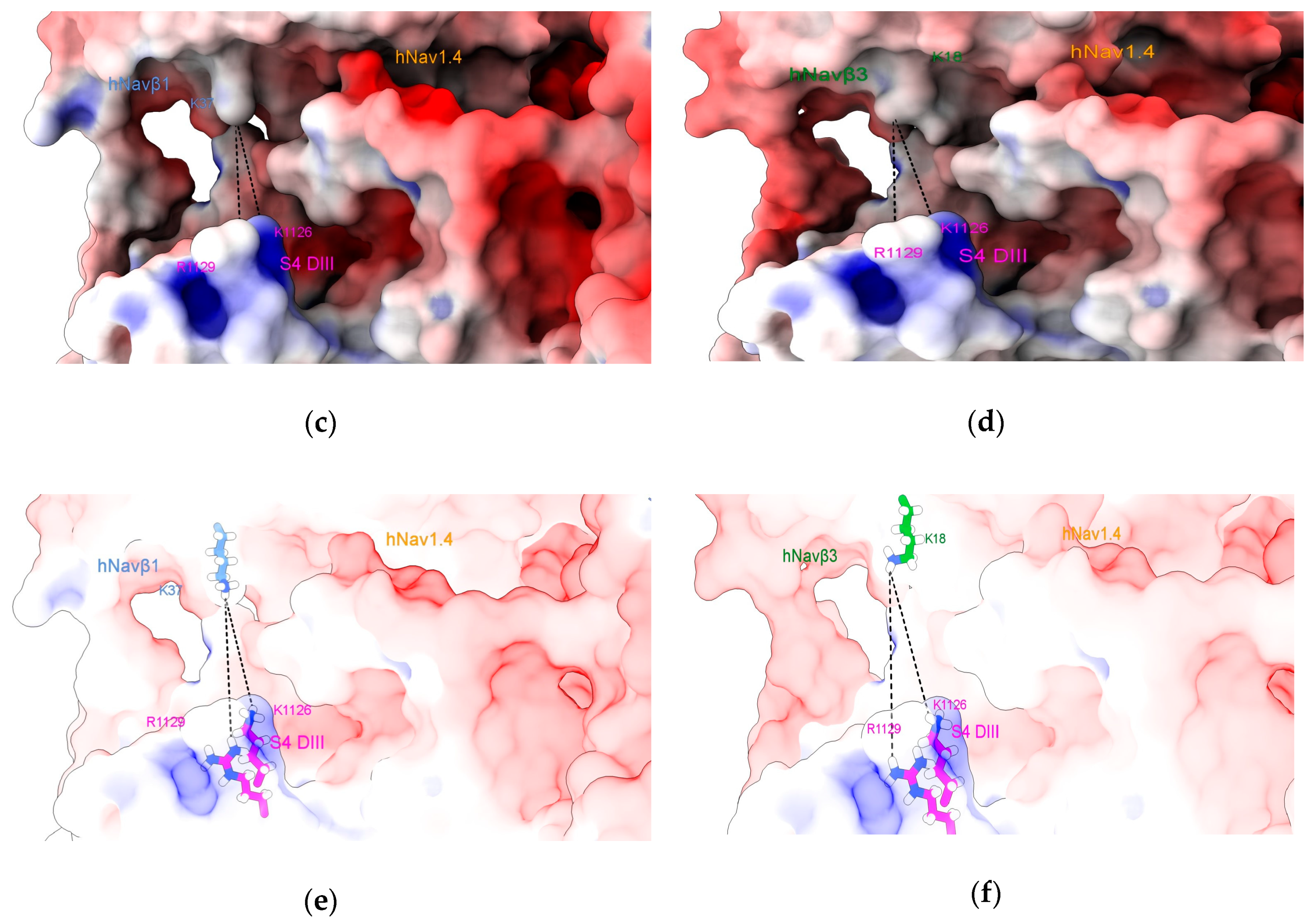 Molecules Free Full Text Chemometric Models Of Differential Amino Acids At The Nava And Navb Interface Of Mammalian Sodium Channel Isoforms Html