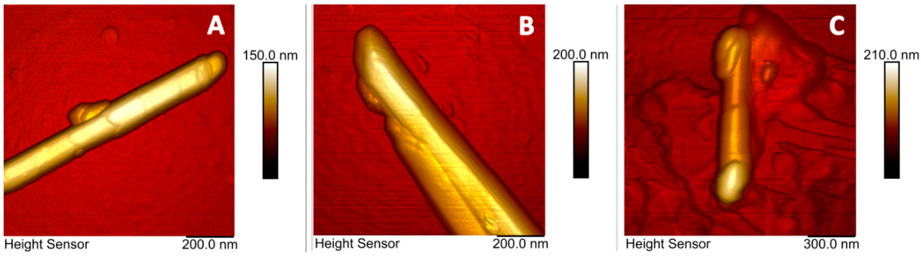 Molecules 25 03557 g003 Molecules 25 03557 g003