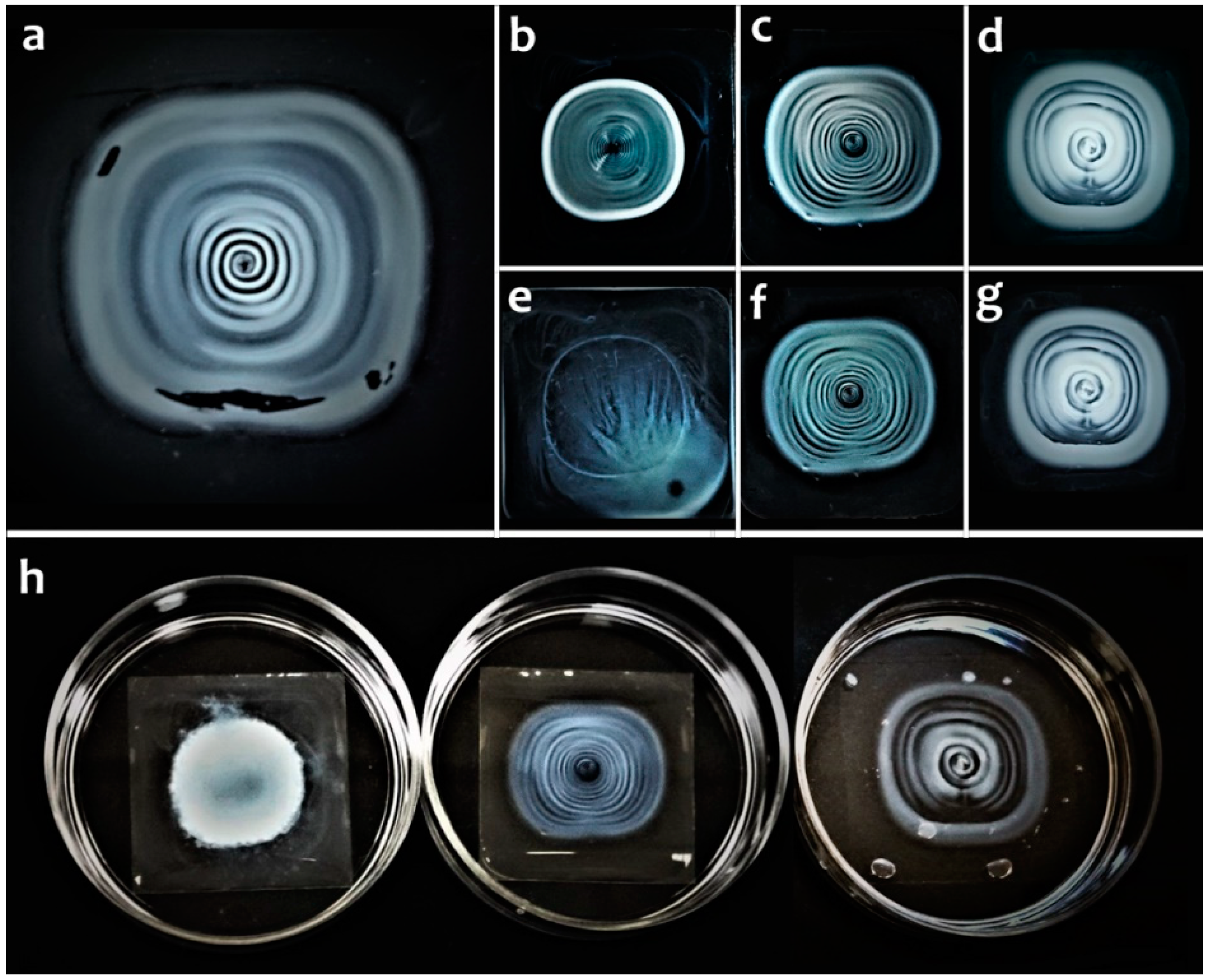 Molecules 25 03557 g008 Molecules 25 03557 g008