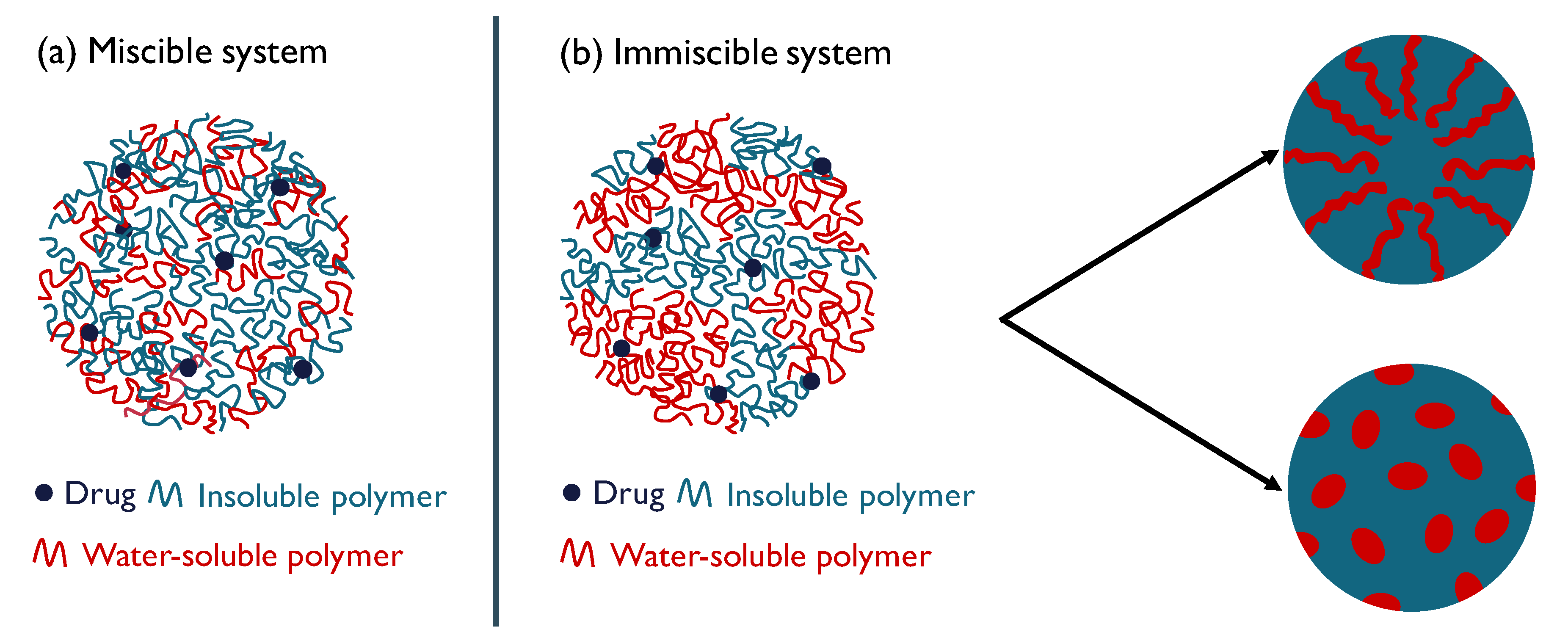 Molecules Free Full Text Unravelling The Miscibility Of Poly 2 Oxazoline S A Novel Polymer Class For The Formulation Of Amorphous Solid Dispersions Html