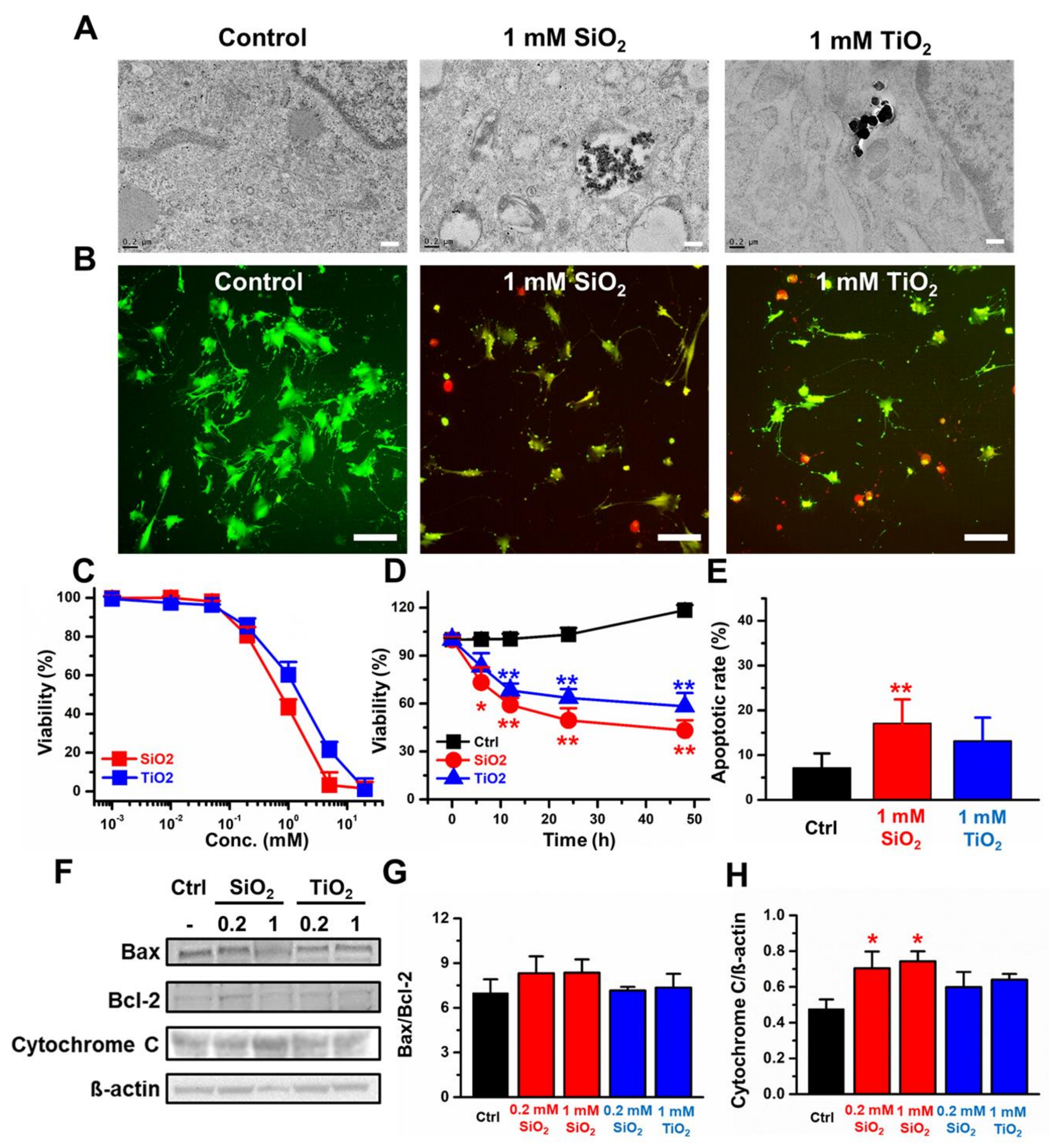 Molecules 25 03594 g002 Molecules 25 03594 g002