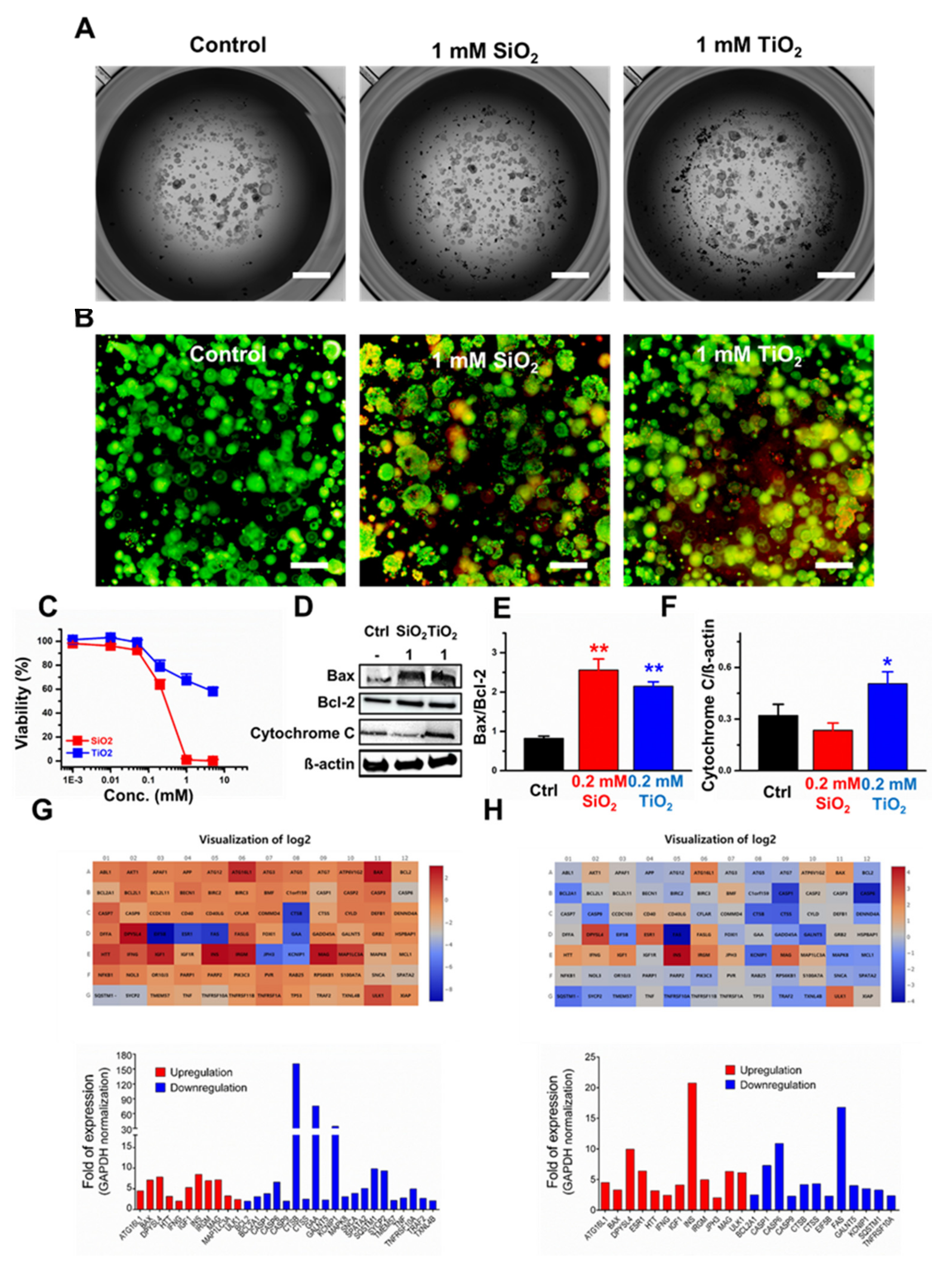 Molecules 25 03594 g005 Molecules 25 03594 g005