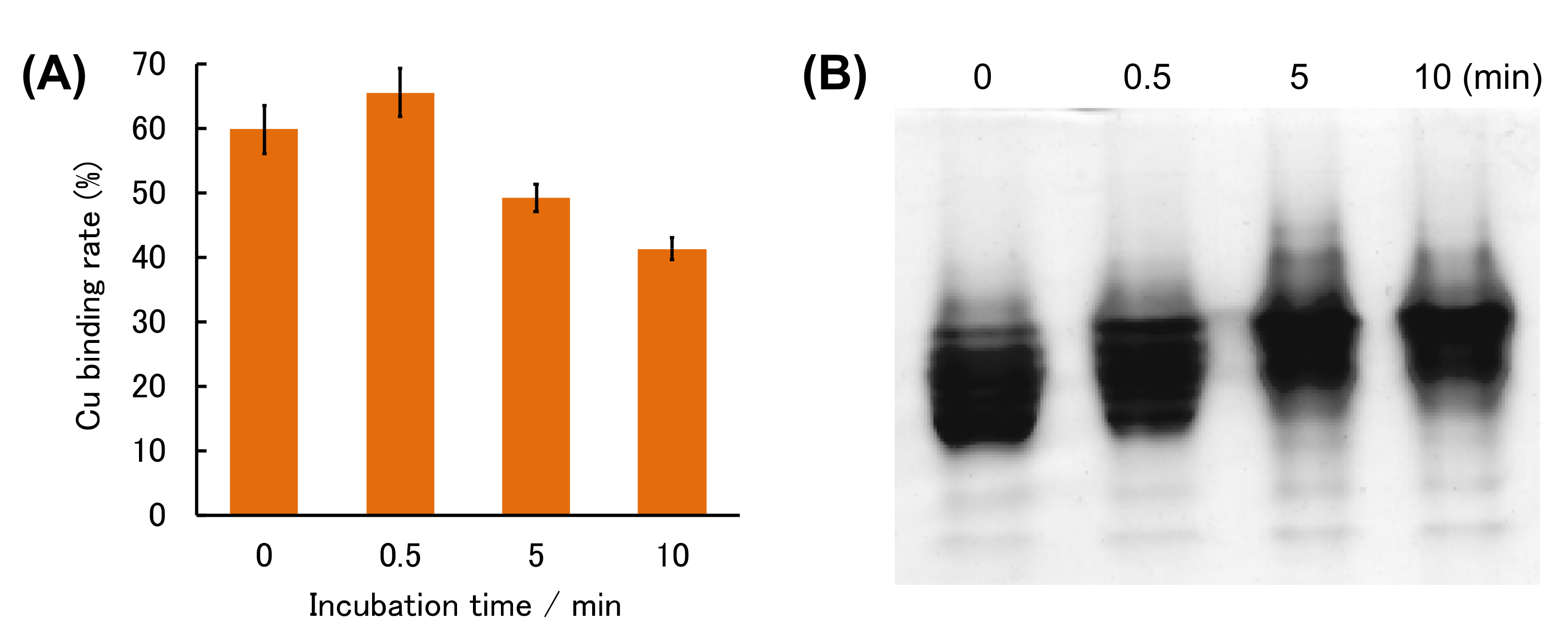 Molecules 25 03600 g006