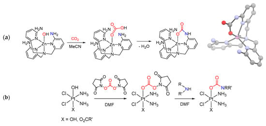 Molecules Free Full Text Recent Advances In The Chemistry Of Metal Carbamates Html