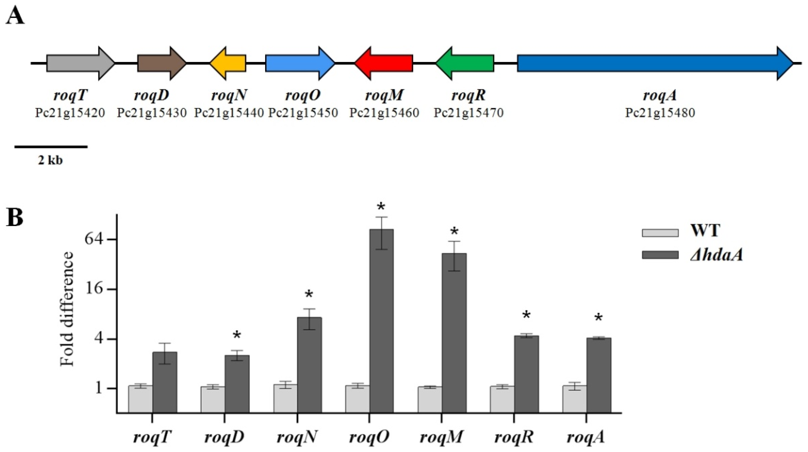 Molecules 25 03657 g005