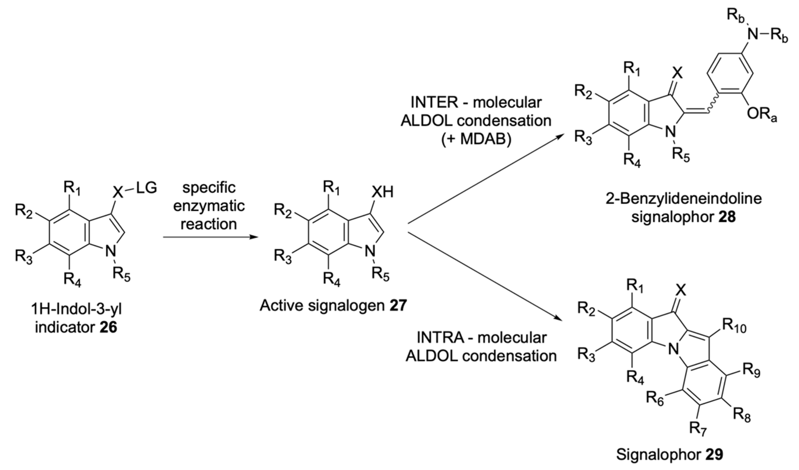 Molecules 25 03690 sch004