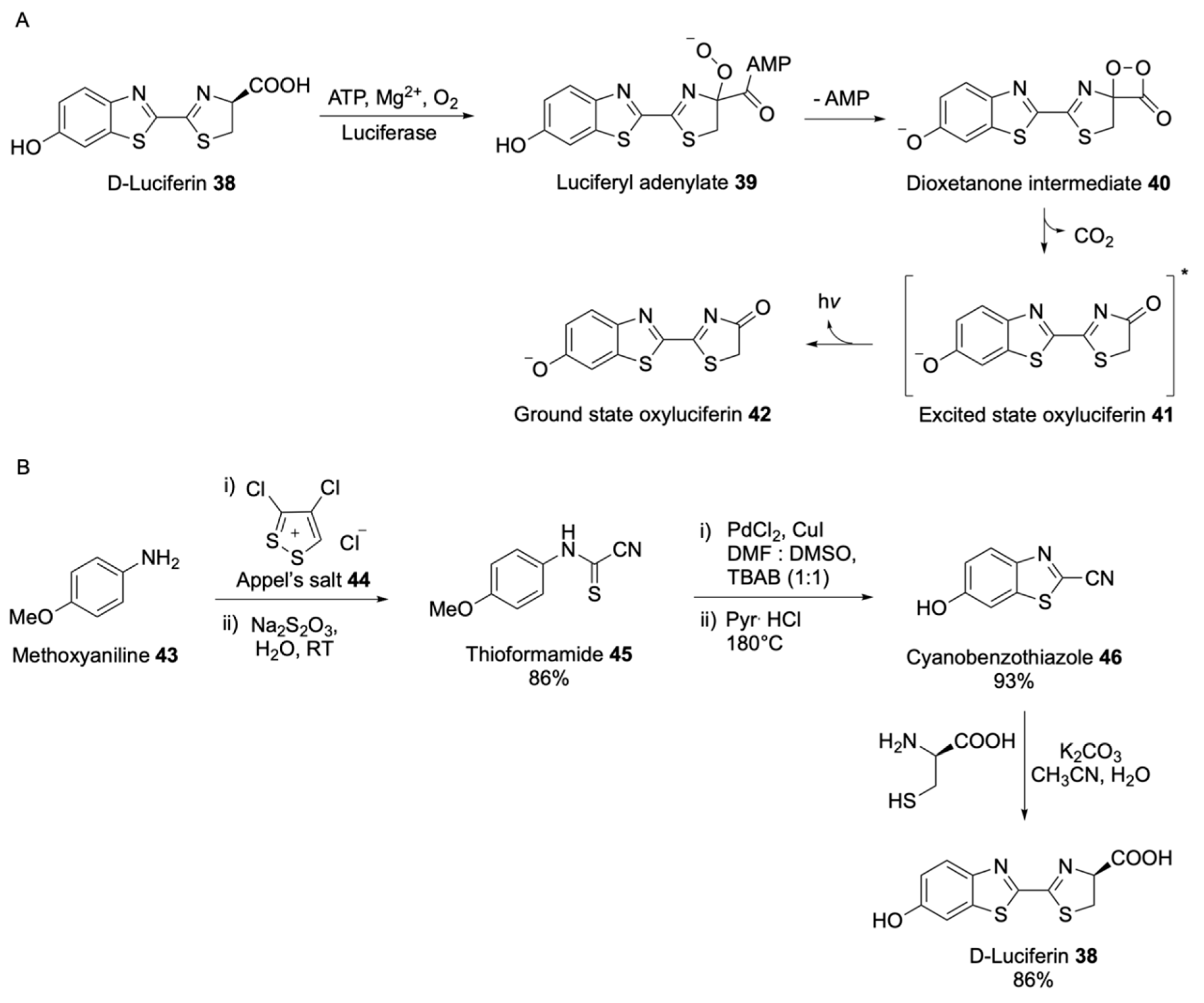 Molecules 25 03690 sch008