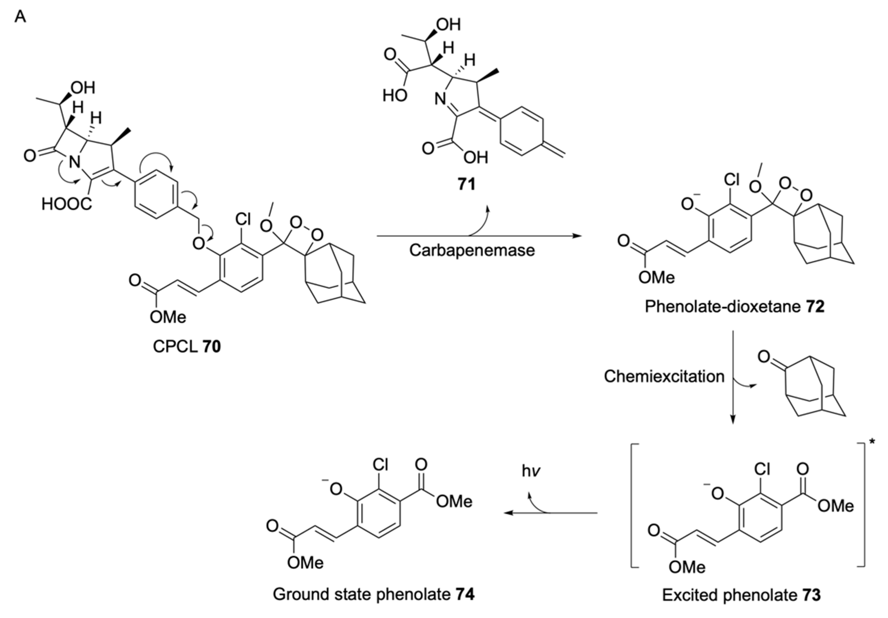 Molecules 25 03690 sch011a