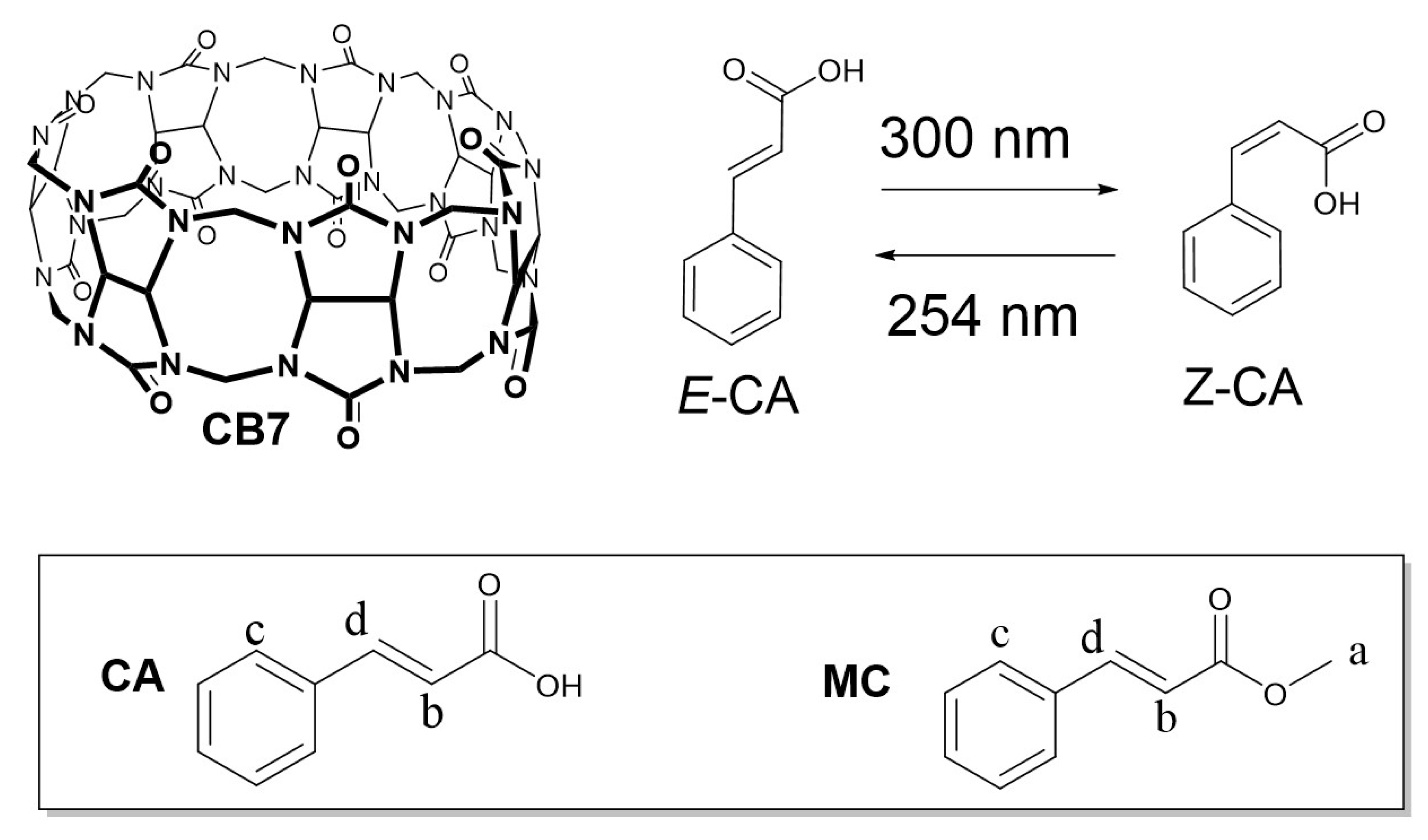Molecules 25 03702 sch001