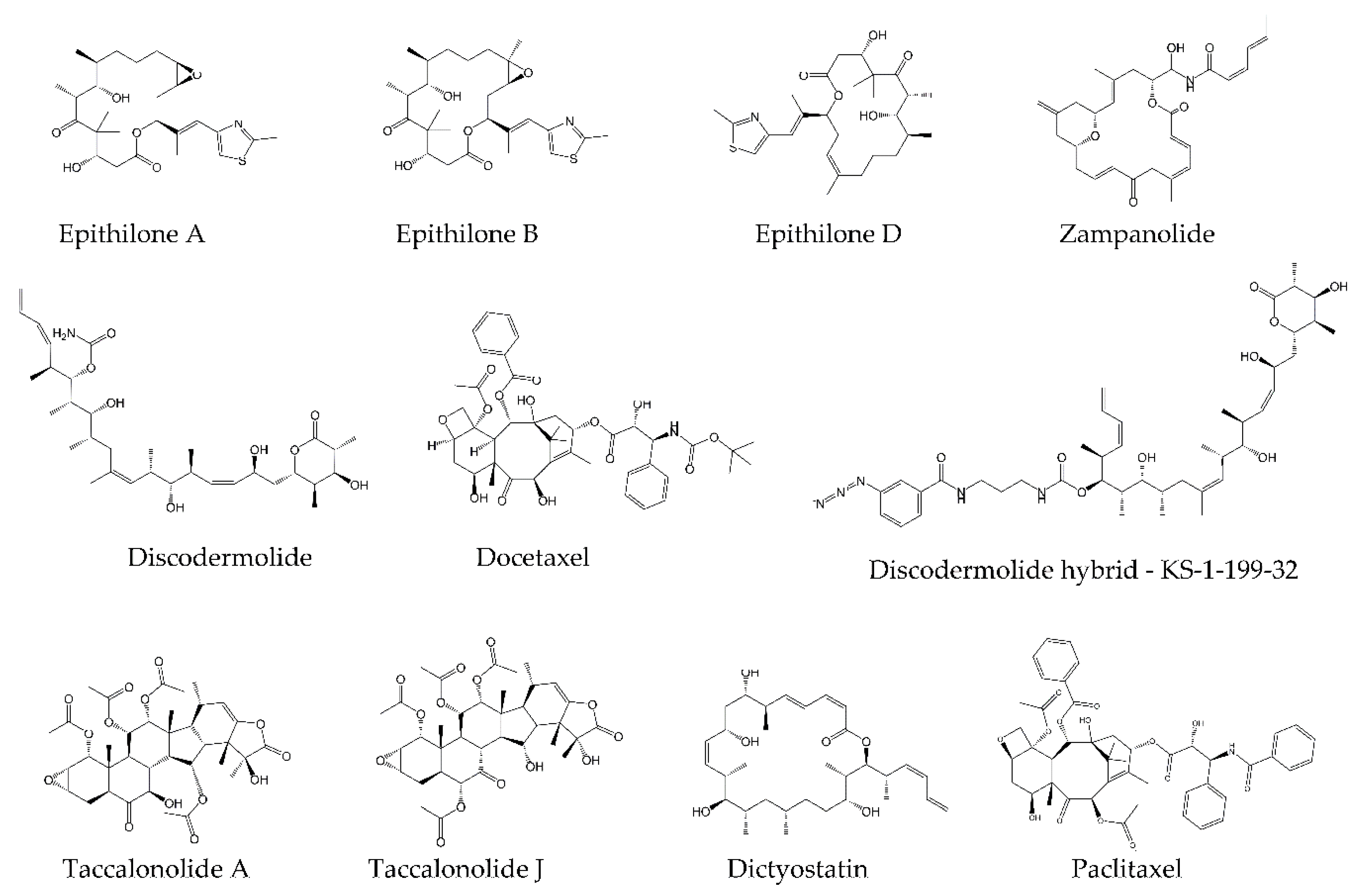 Molecules 25 03705 g003