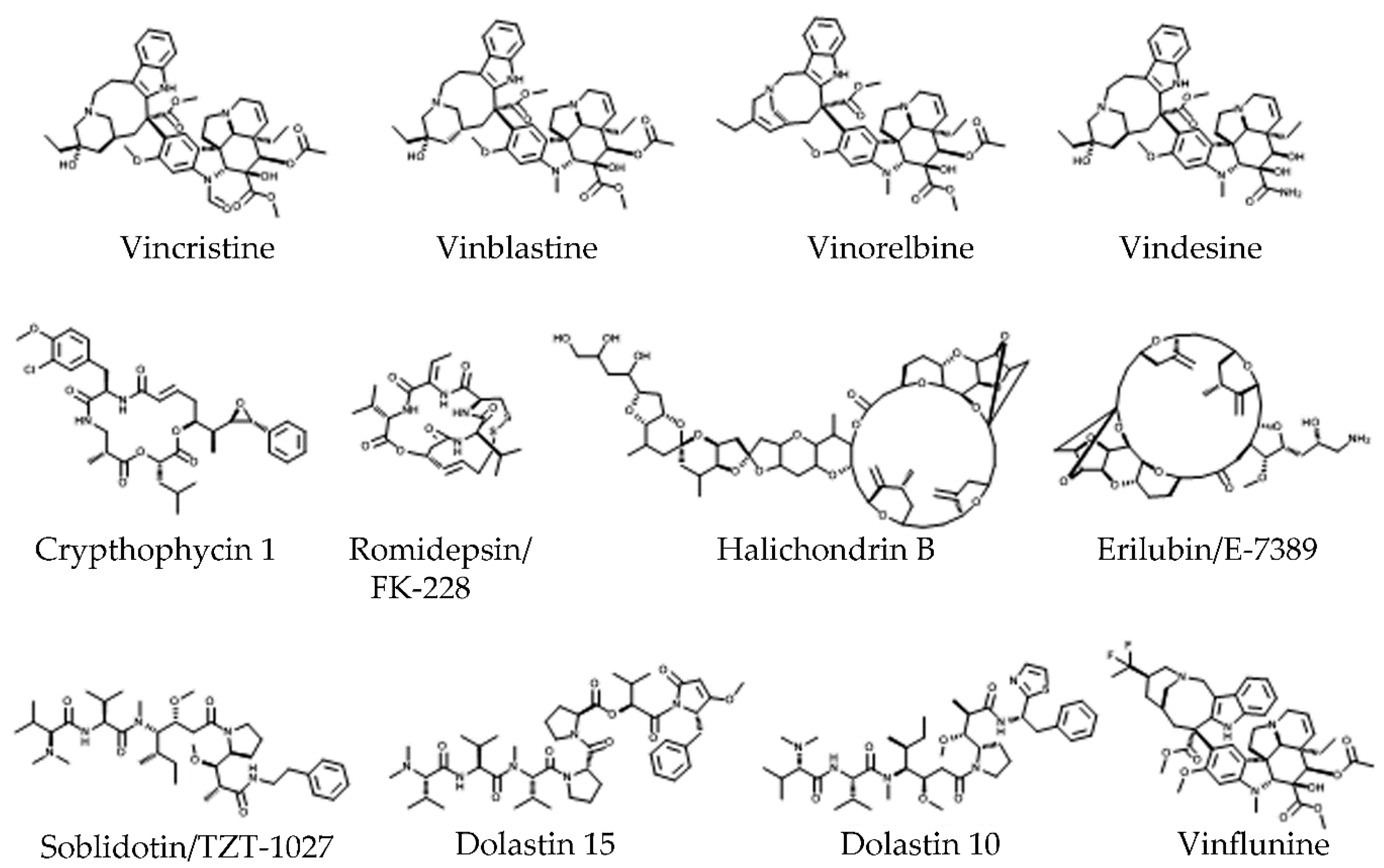 Molecules 25 03705 g005