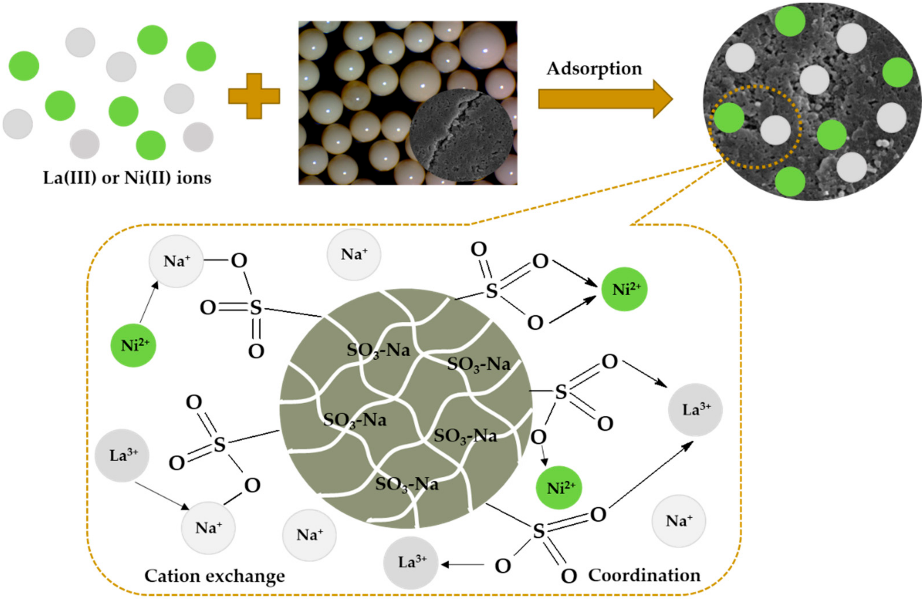 Molecules 25 03718 g011 Molecules 25 03718 g011