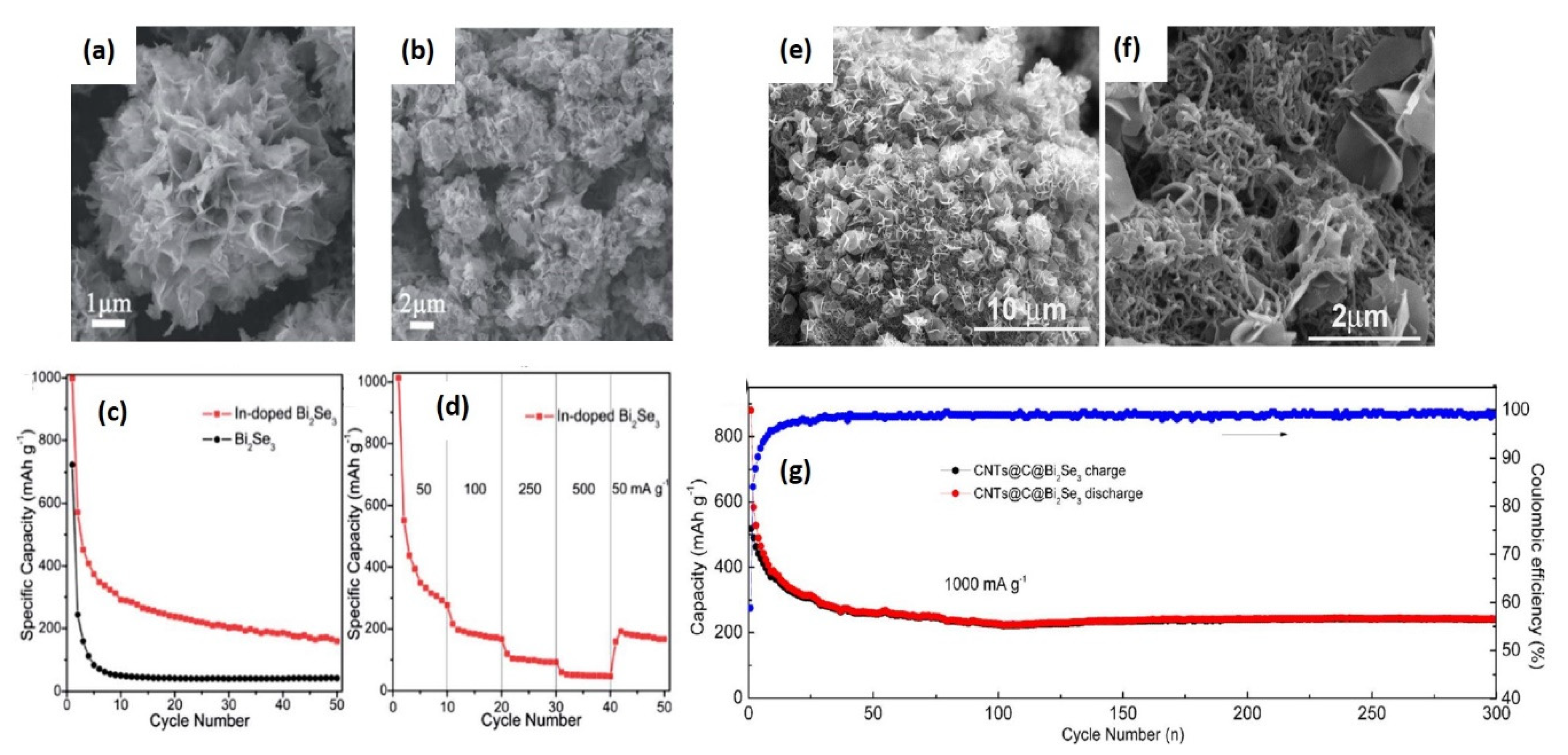 Molecules 25 03733 g006